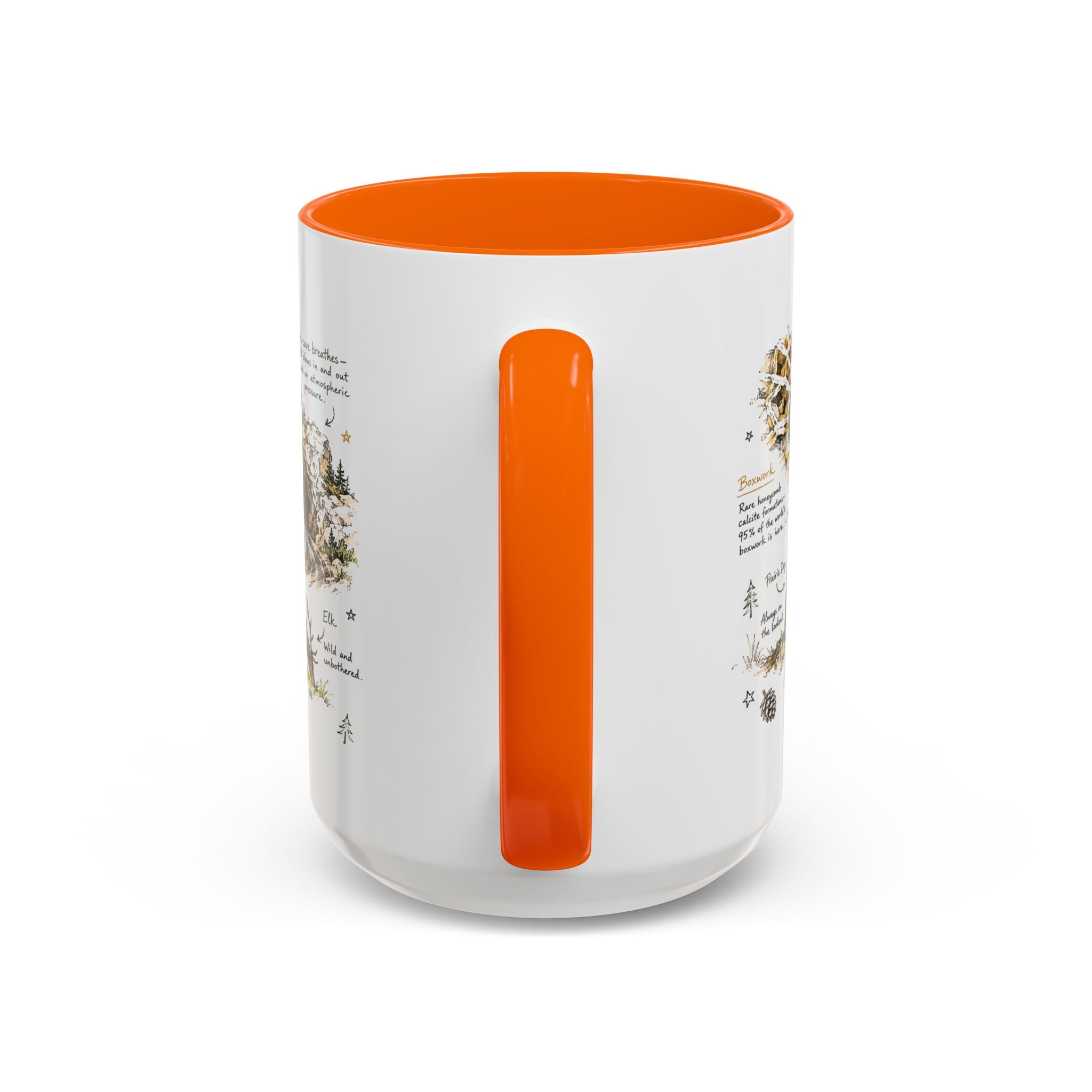 Wind Cave National Park Coffee Mug | South Dakota Cave Bison Prairie Gift | Accent Color Ceramic 11oz 15oz