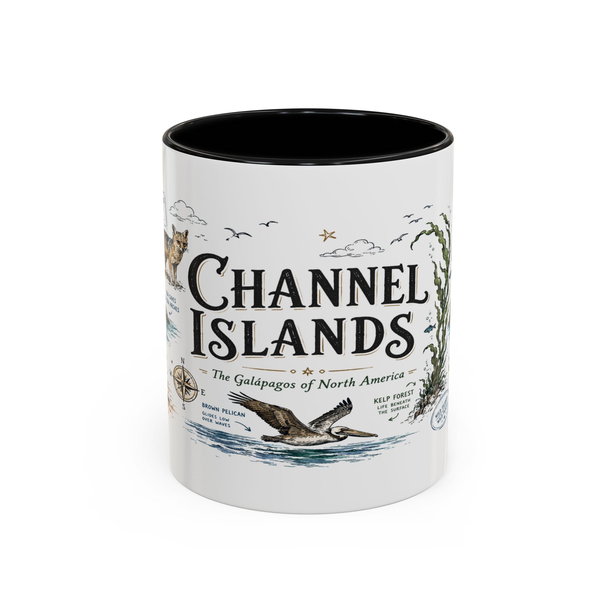 Channel Islands National Park Coffee Mug | California Island Wildlife Marine Gift | Accent Color Ceramic 11oz 15oz