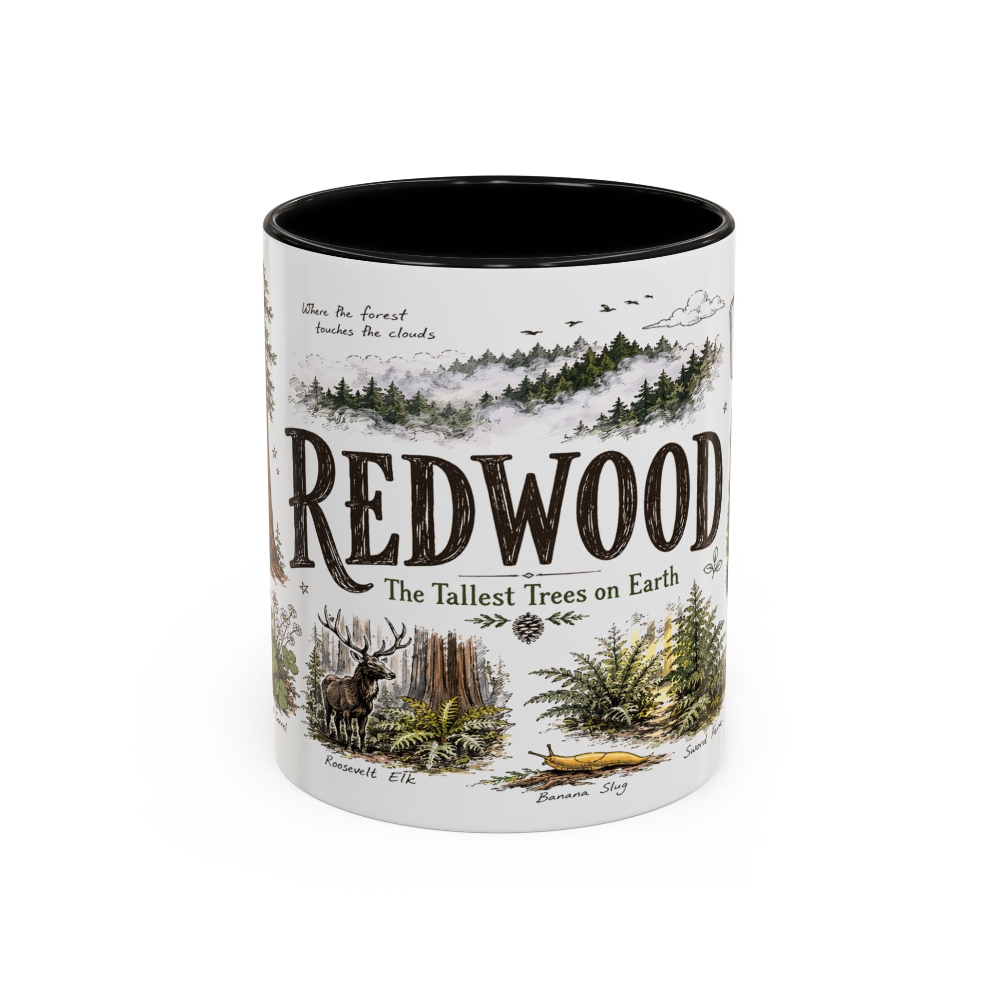 Redwood National Park Coffee Mug | California Coastal Forest Hiking Gift | Accent Color Ceramic 11oz 15oz