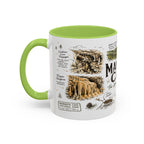 Mammoth Cave National Park Coffee Mug | Kentucky Cave Exploration Hiking Gift | Accent Color Ceramic 11oz 15oz