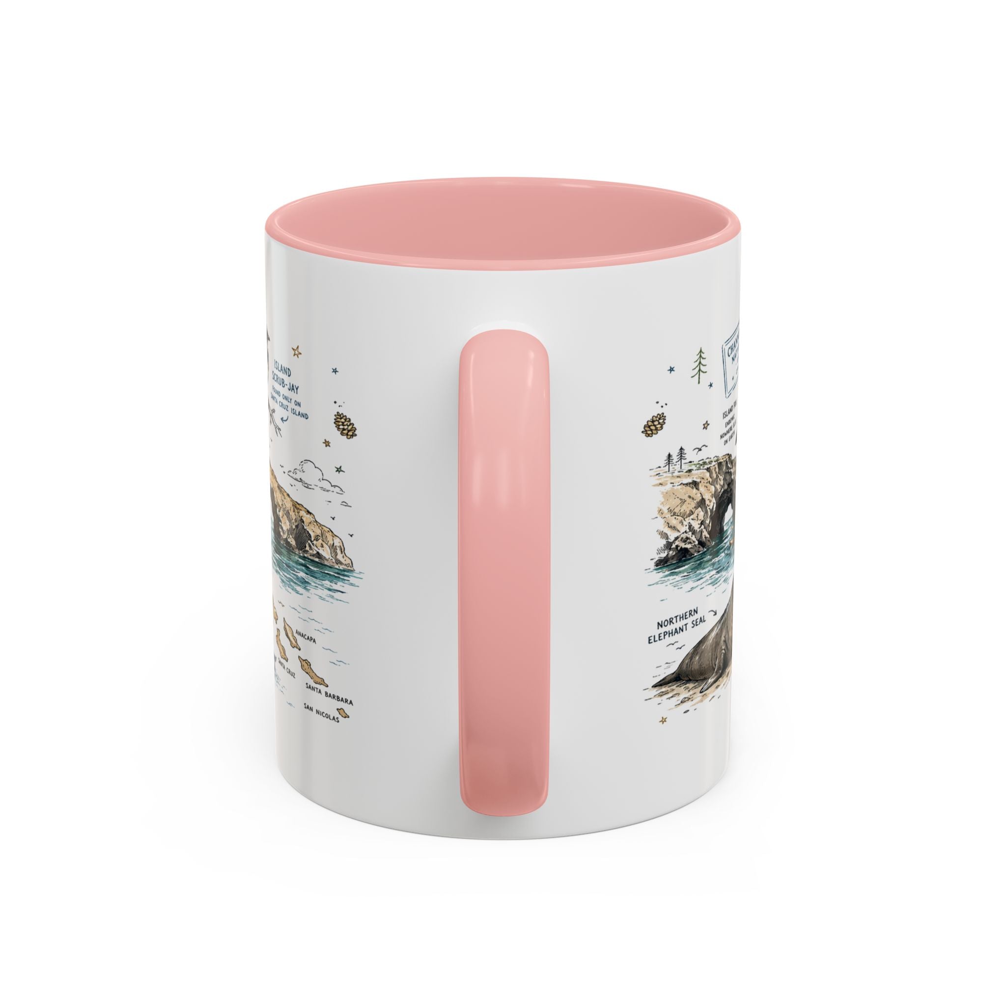 Channel Islands National Park Coffee Mug | California Island Wildlife Marine Gift | Accent Color Ceramic 11oz 15oz