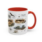 Mesa Verde National Park Coffee Mug | Colorado Ancient Cliff Dwellings Gift | Accent Color Ceramic 11oz 15oz
