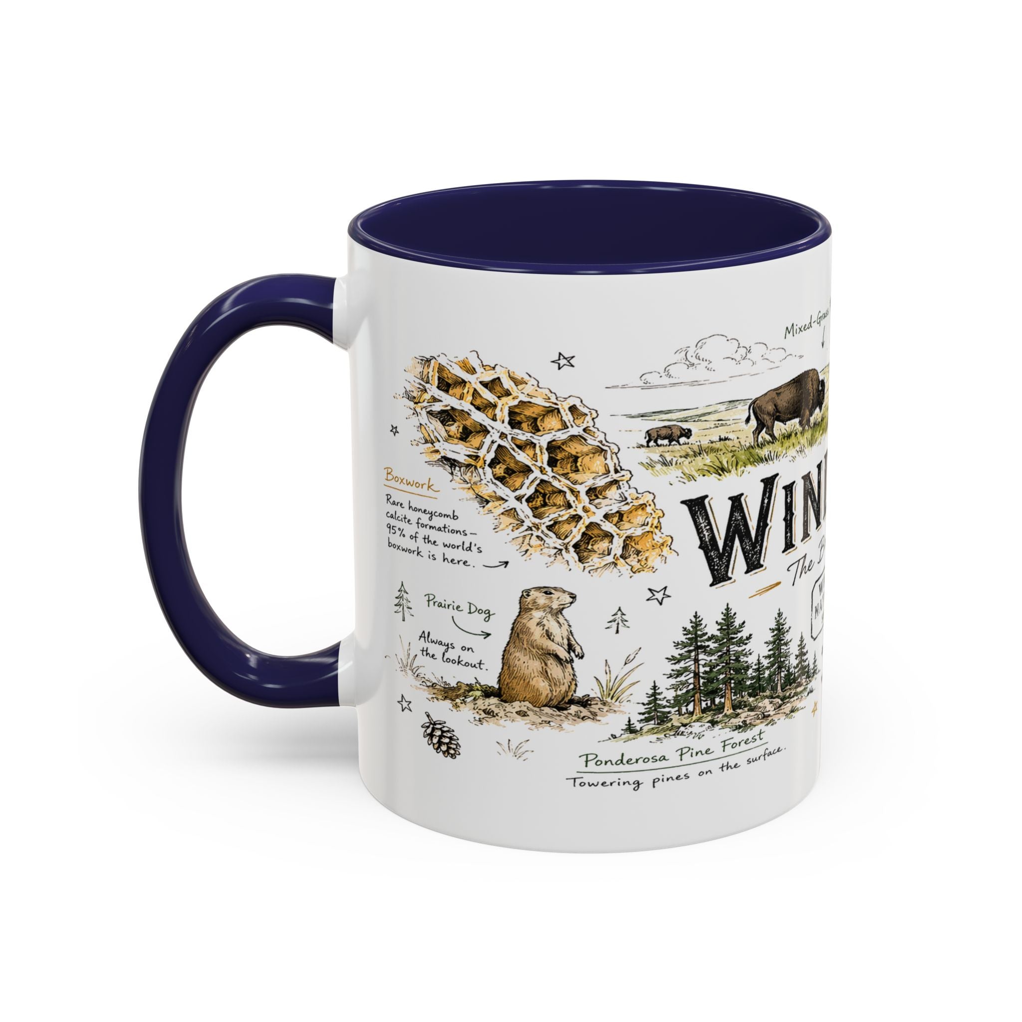 Wind Cave National Park Coffee Mug | South Dakota Cave Bison Prairie Gift | Accent Color Ceramic 11oz 15oz