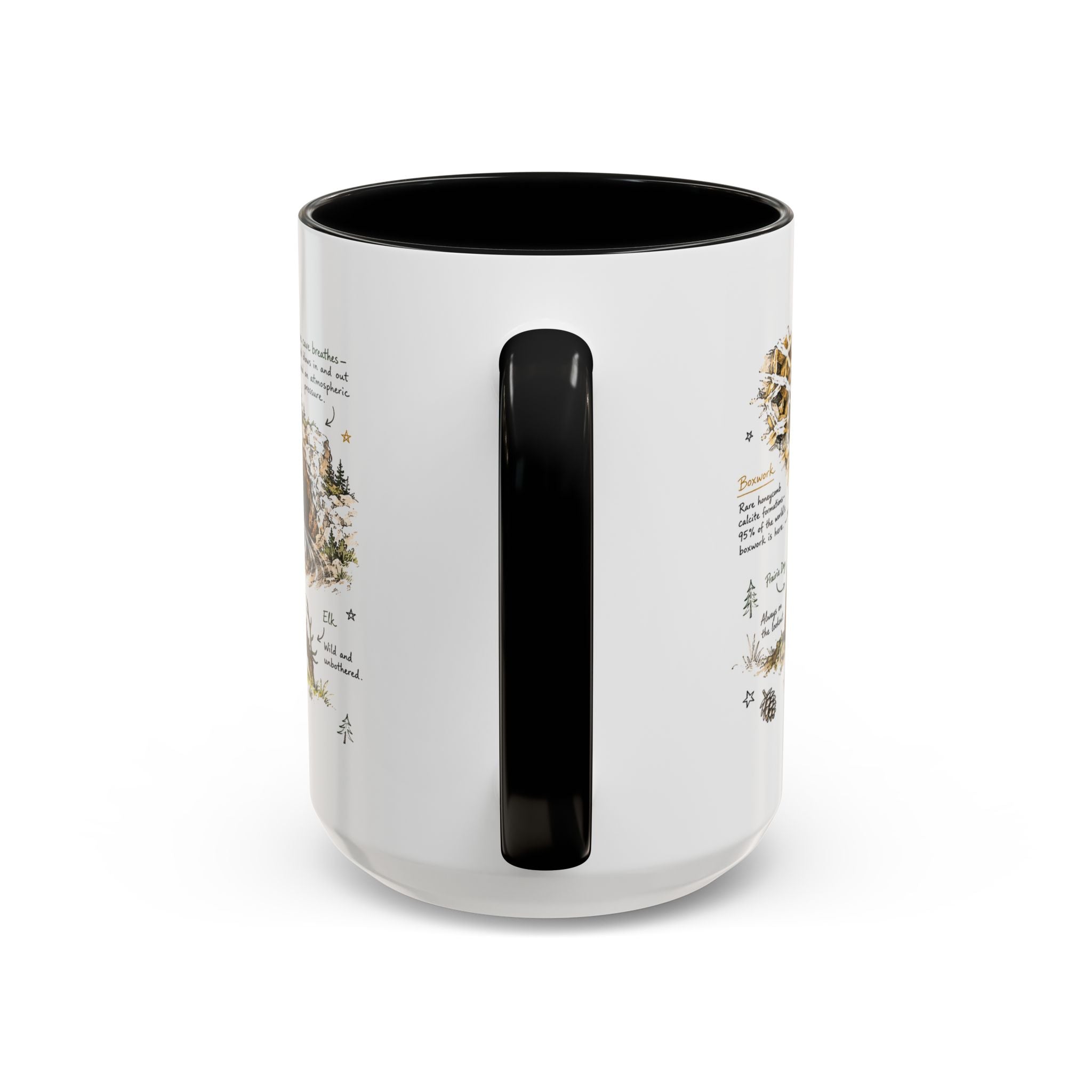 Wind Cave National Park Coffee Mug | South Dakota Cave Bison Prairie Gift | Accent Color Ceramic 11oz 15oz