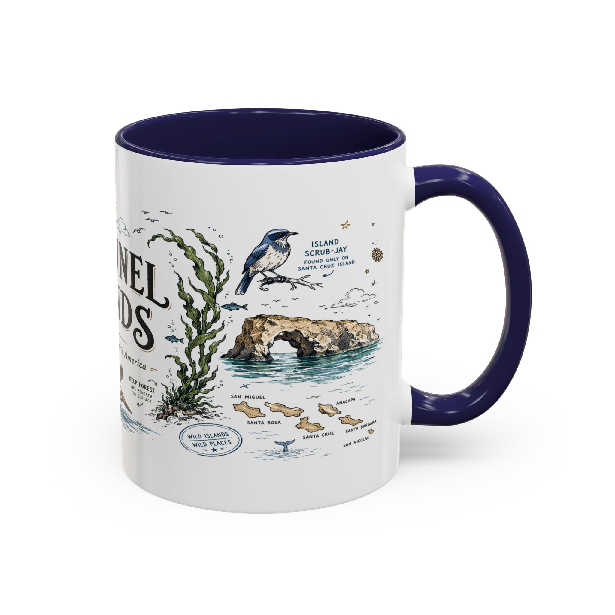 Channel Islands National Park Coffee Mug | California Island Wildlife Marine Gift | Accent Color Ceramic 11oz 15oz