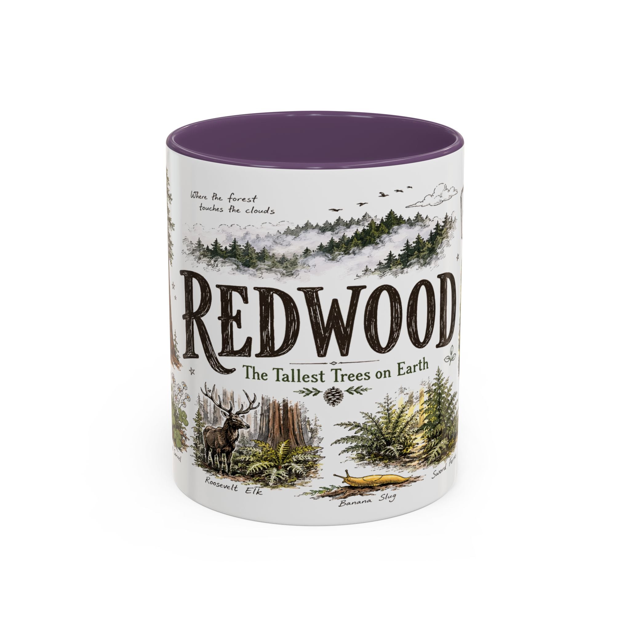 Redwood National Park Coffee Mug | California Coastal Forest Hiking Gift | Accent Color Ceramic 11oz 15oz