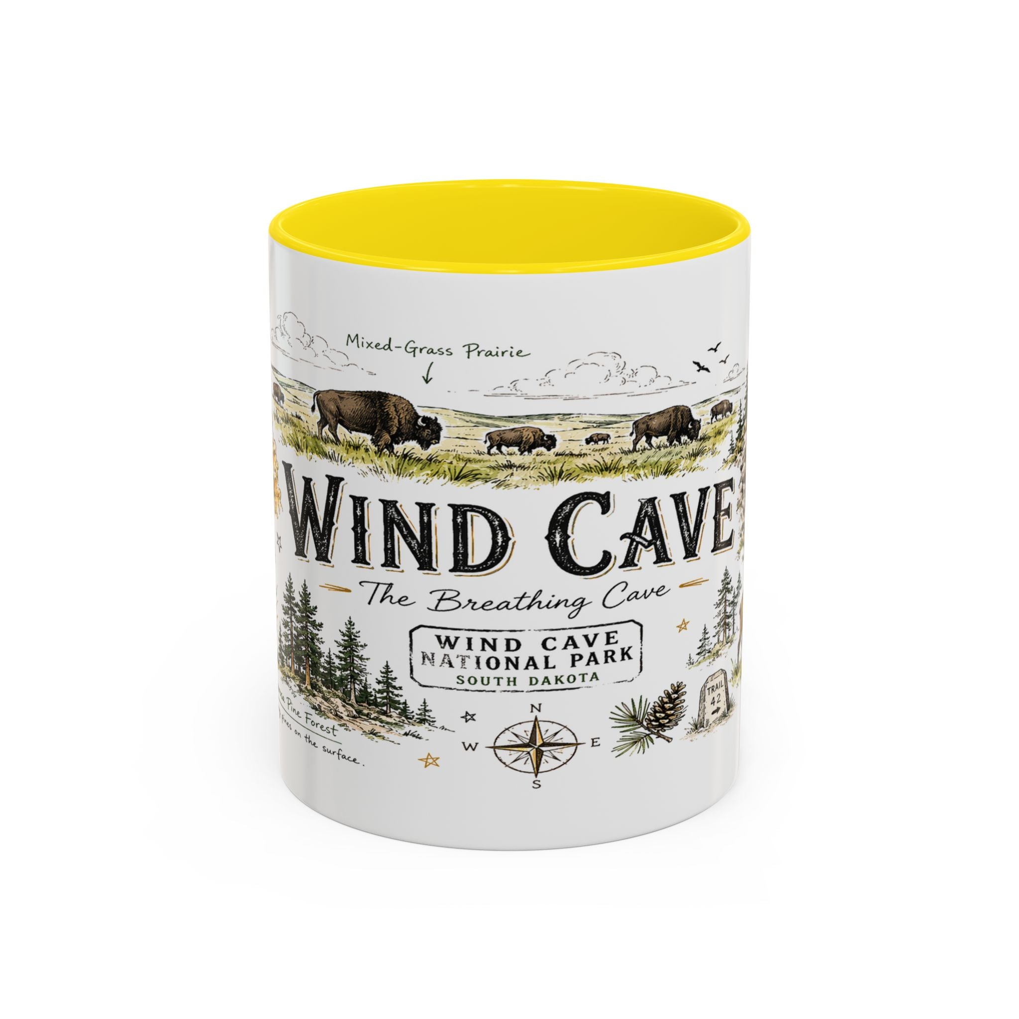Wind Cave National Park Coffee Mug | South Dakota Cave Bison Prairie Gift | Accent Color Ceramic 11oz 15oz