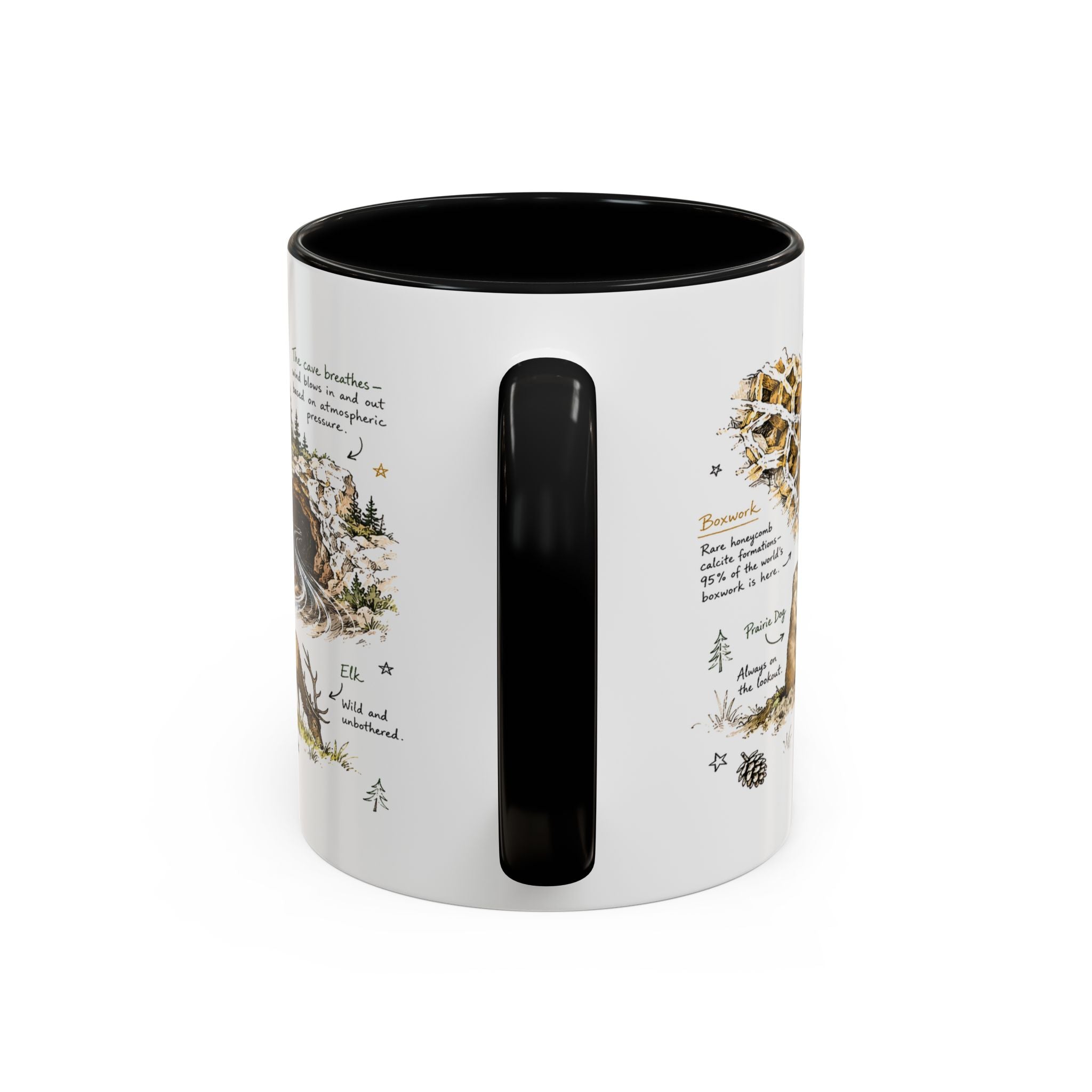 Wind Cave National Park Coffee Mug | South Dakota Cave Bison Prairie Gift | Accent Color Ceramic 11oz 15oz