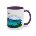 Virgin Islands National Park Coffee Mug | Solid Color Block Park Souvenir | 11oz 15oz Accent Mug
