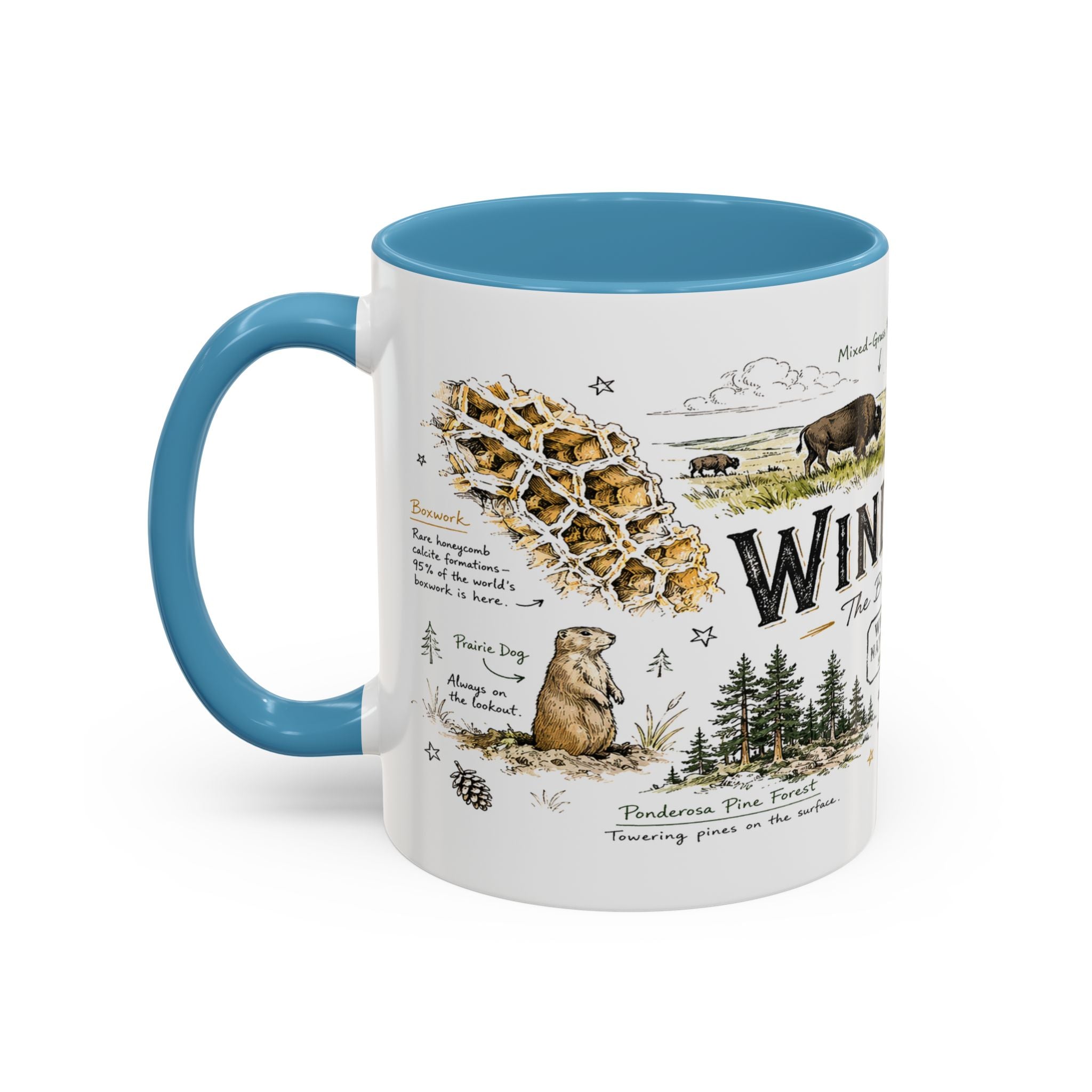Wind Cave National Park Coffee Mug | South Dakota Cave Bison Prairie Gift | Accent Color Ceramic 11oz 15oz