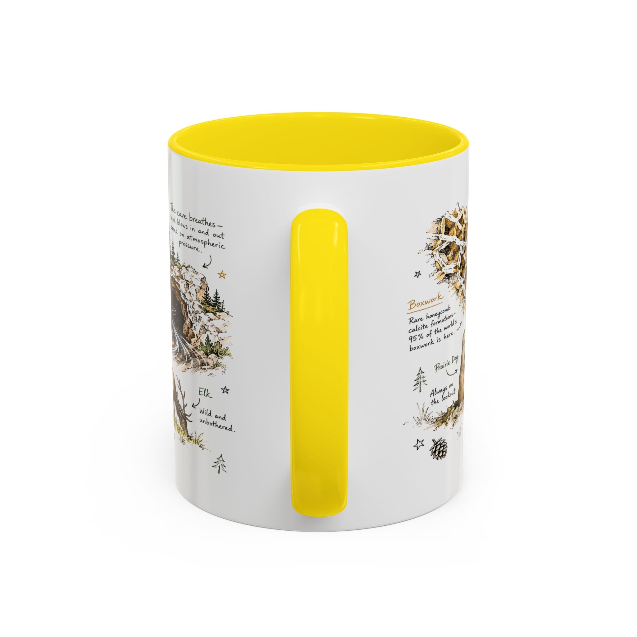 Wind Cave National Park Coffee Mug | South Dakota Cave Bison Prairie Gift | Accent Color Ceramic 11oz 15oz