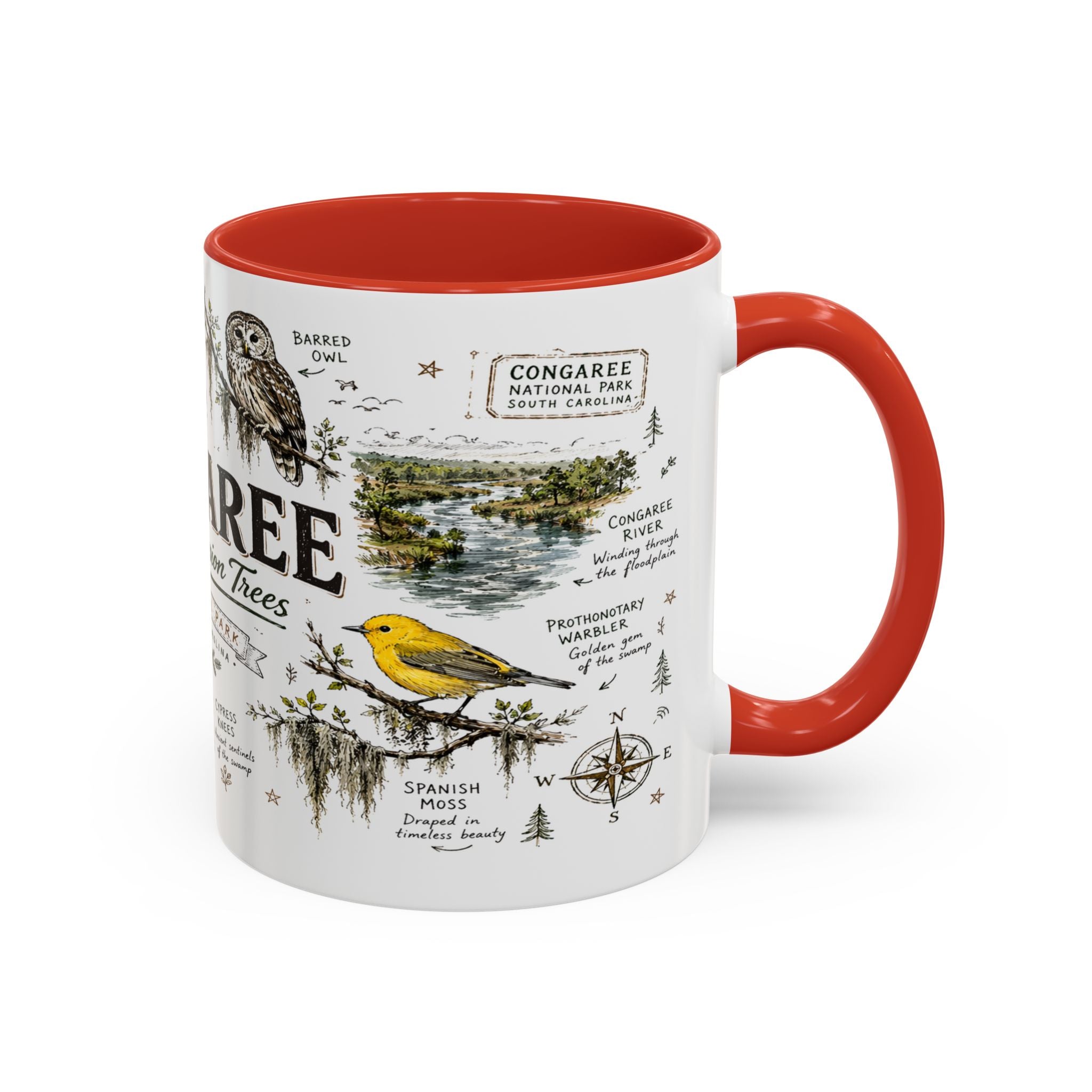 Congaree National Park Coffee Mug | South Carolina Forest Floodplain Gift | Accent Color Ceramic 11oz 15oz