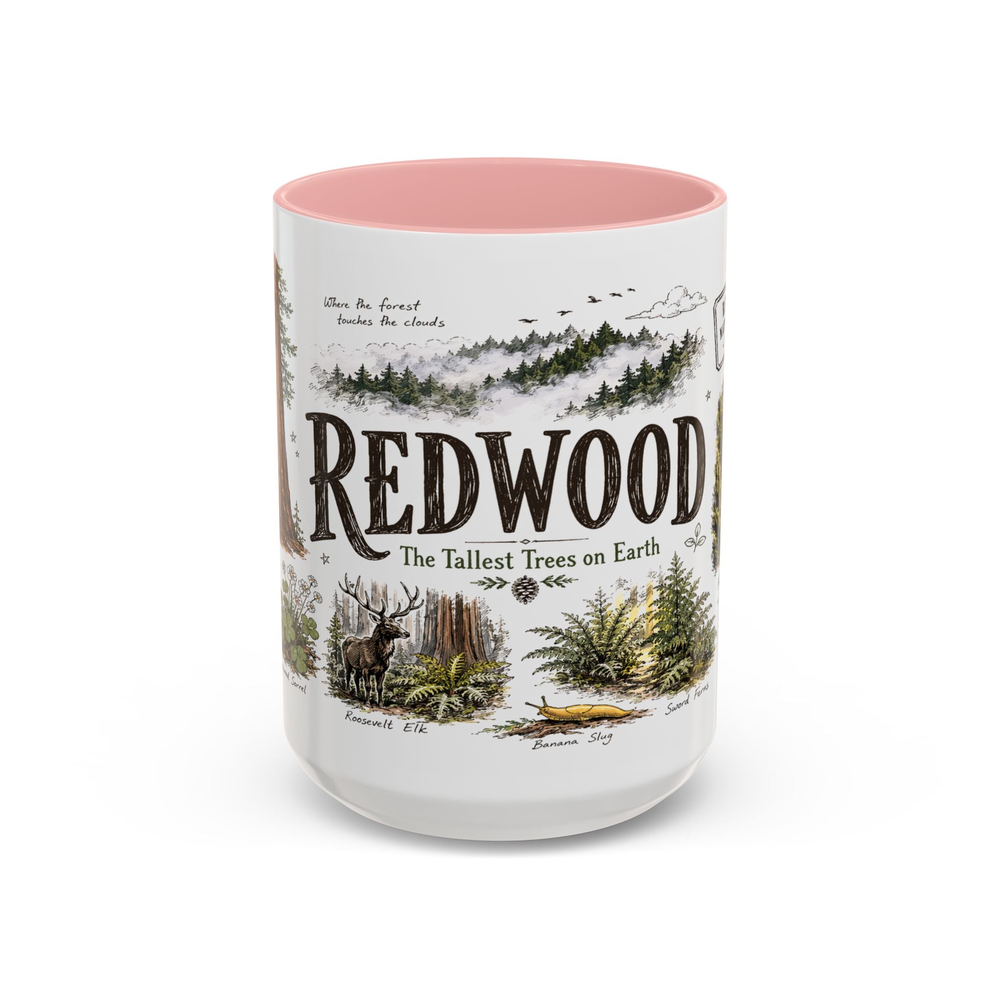 Redwood National Park Coffee Mug | California Coastal Forest Hiking Gift | Accent Color Ceramic 11oz 15oz