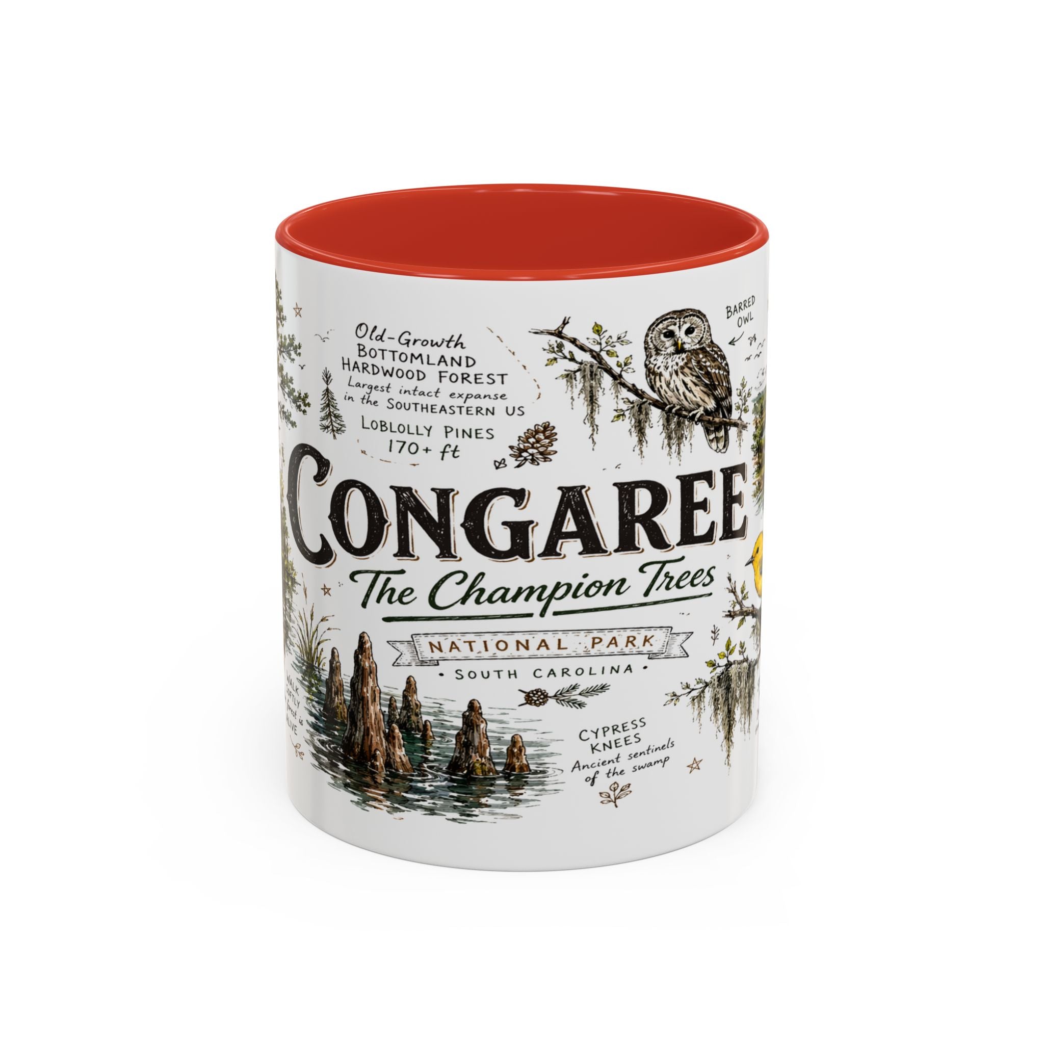 Congaree National Park Coffee Mug | South Carolina Forest Floodplain Gift | Accent Color Ceramic 11oz 15oz