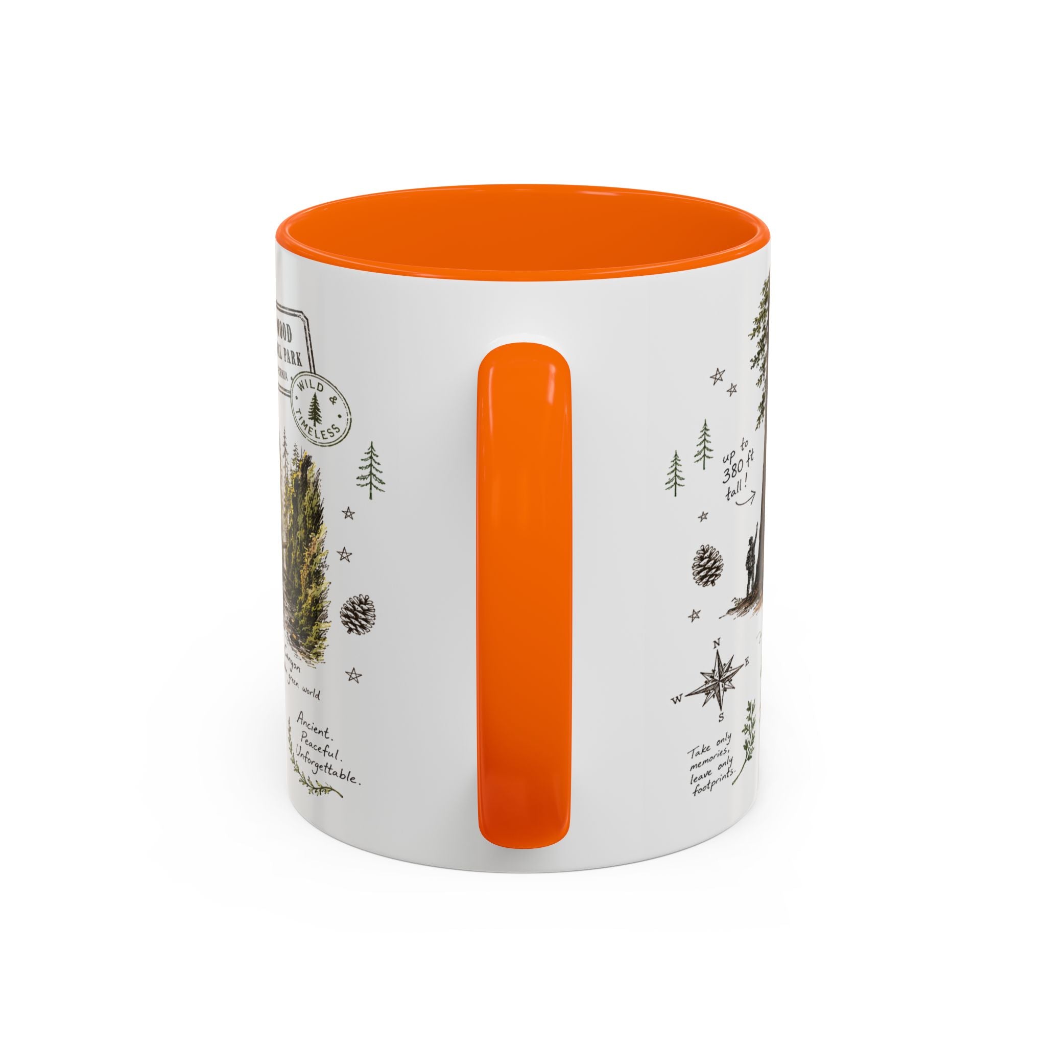 Redwood National Park Coffee Mug | California Coastal Forest Hiking Gift | Accent Color Ceramic 11oz 15oz