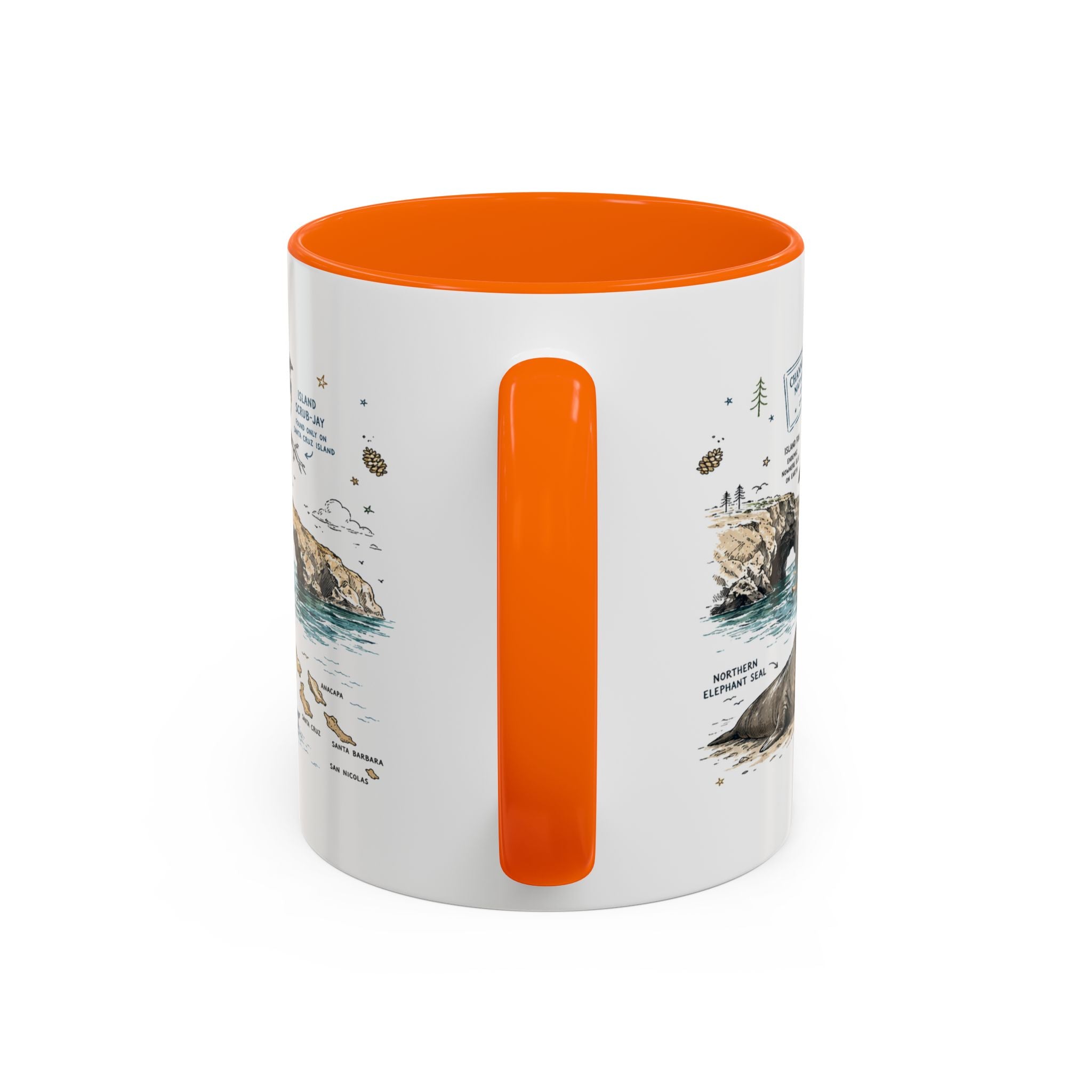 Channel Islands National Park Coffee Mug | California Island Wildlife Marine Gift | Accent Color Ceramic 11oz 15oz