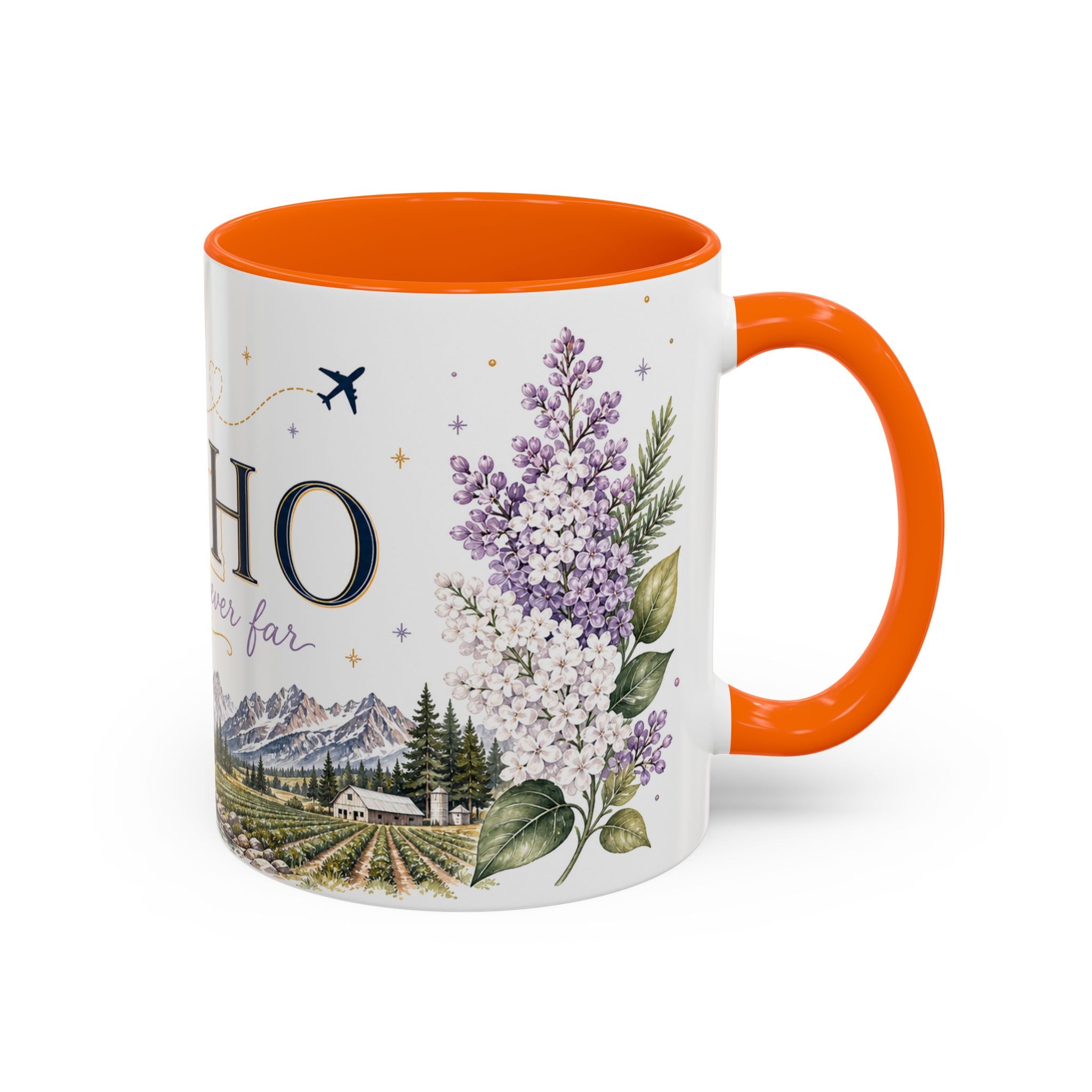 Idaho Home State Mug | Moving Away, Long Distance Friendship Gift
