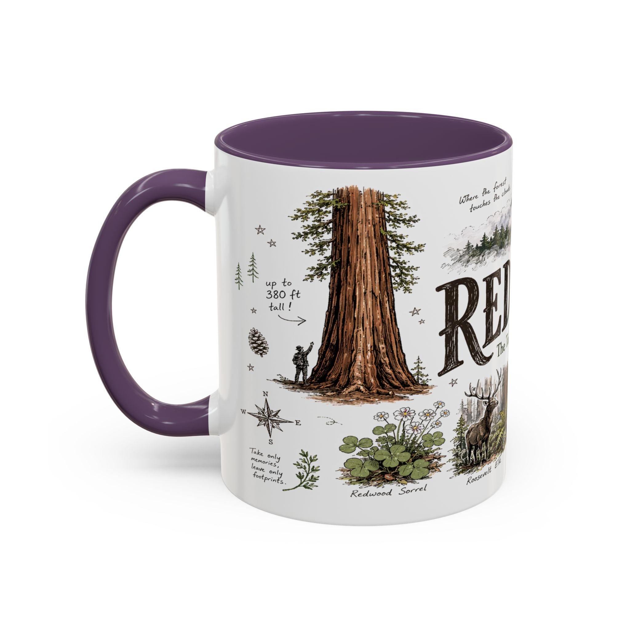 Redwood National Park Coffee Mug | California Coastal Forest Hiking Gift | Accent Color Ceramic 11oz 15oz
