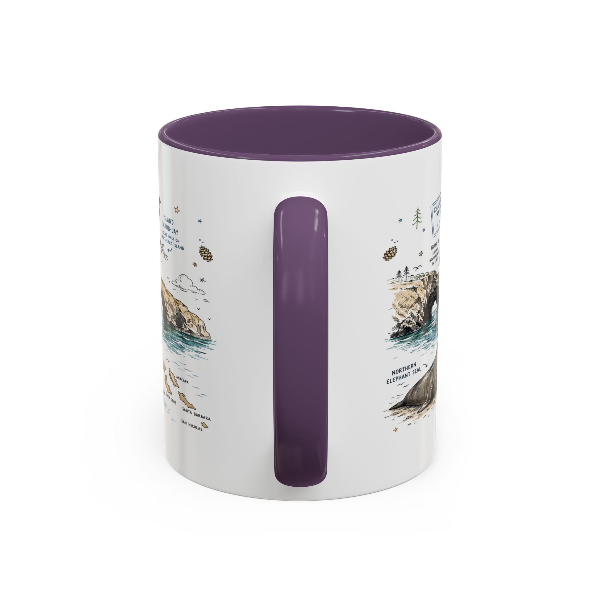 Channel Islands National Park Coffee Mug | California Island Wildlife Marine Gift | Accent Color Ceramic 11oz 15oz