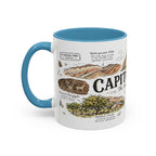 Capitol Reef National Park Coffee Mug | Utah Sandstone Canyon Hiking Gift | Accent Color Ceramic 11oz 15oz