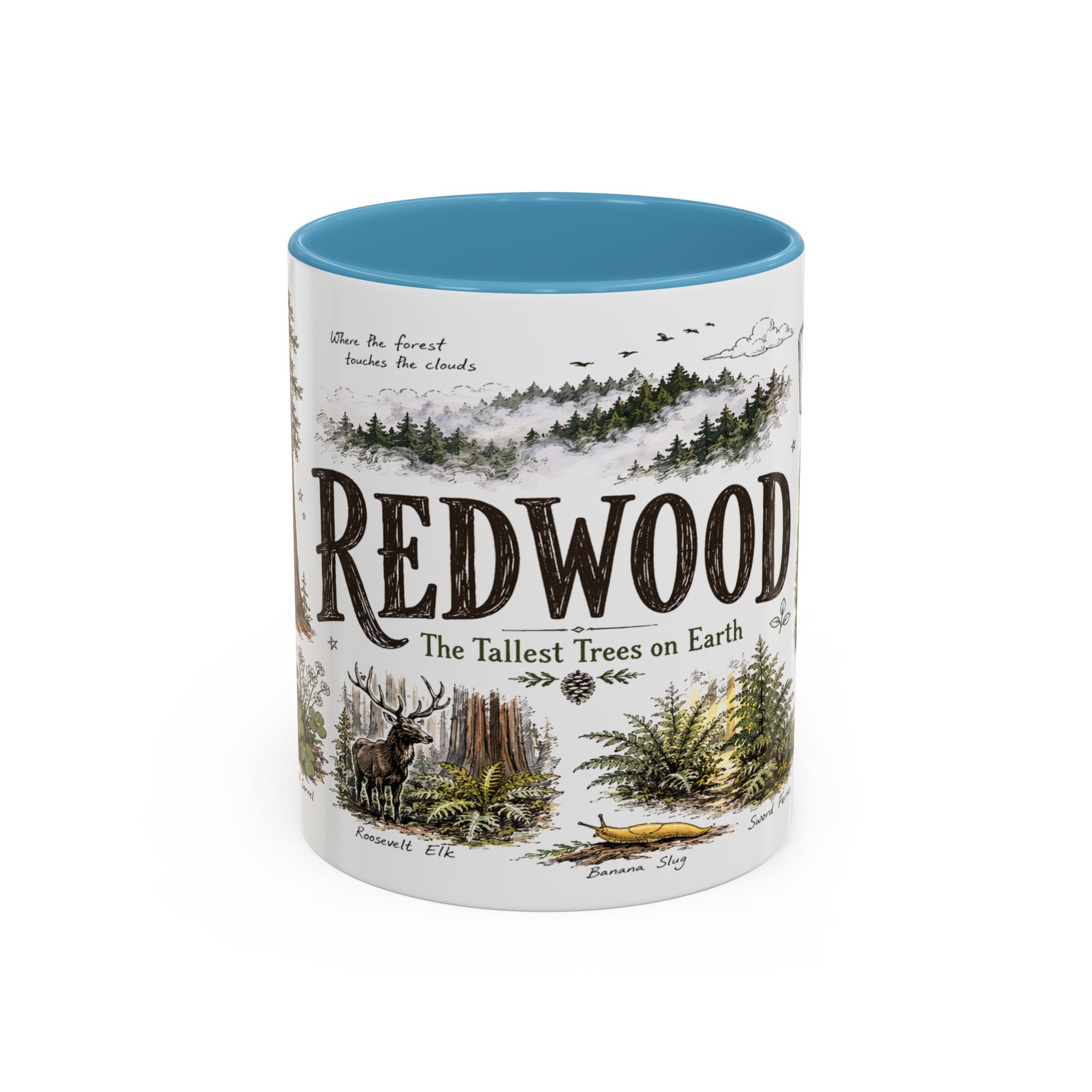 Redwood National Park Coffee Mug | California Coastal Forest Hiking Gift | Accent Color Ceramic 11oz 15oz
