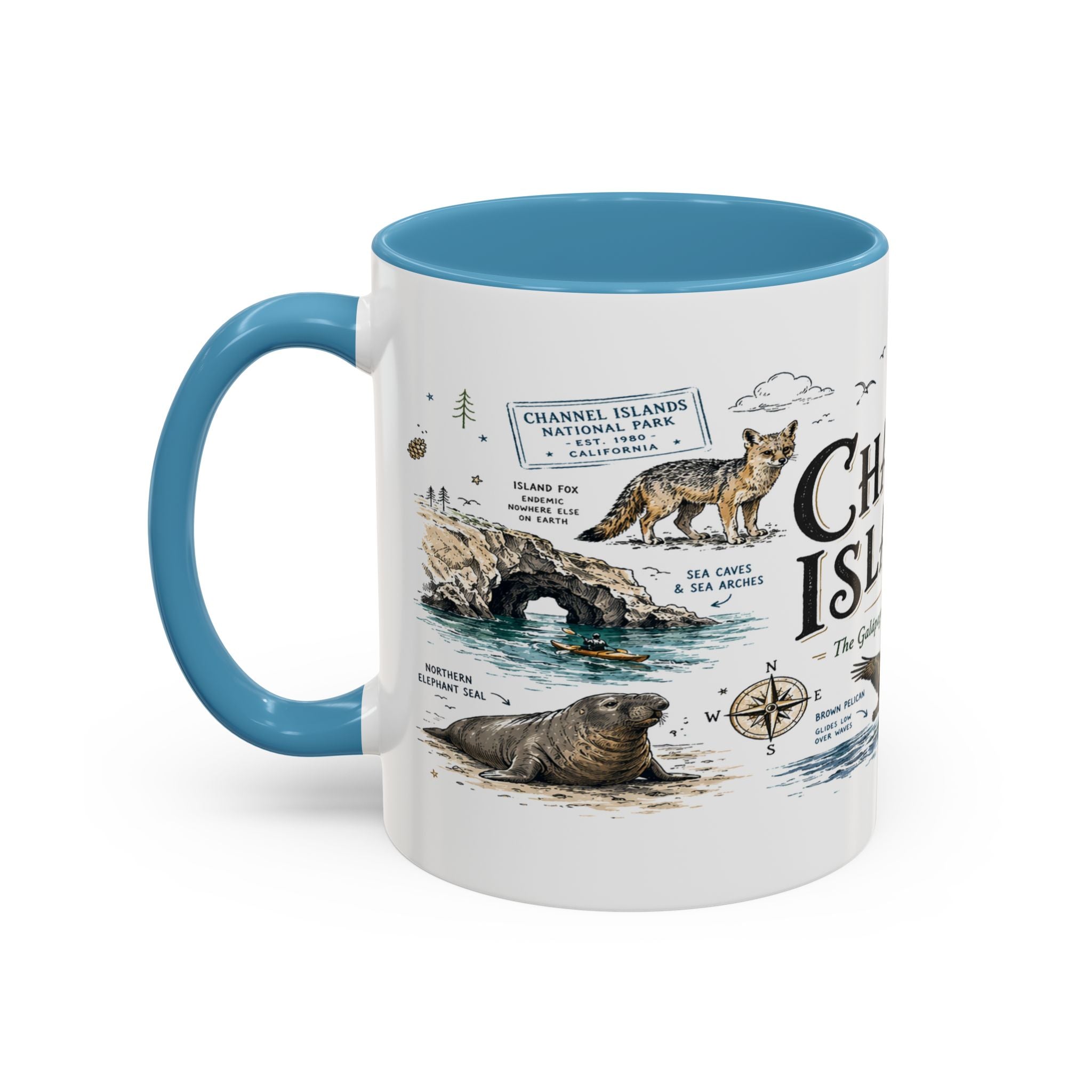 Channel Islands National Park Coffee Mug | California Island Wildlife Marine Gift | Accent Color Ceramic 11oz 15oz