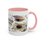 Carlsbad Caverns National Park Coffee Mug | New Mexico Cave Exploration Bat Gift | Accent Color Ceramic 11oz 15oz
