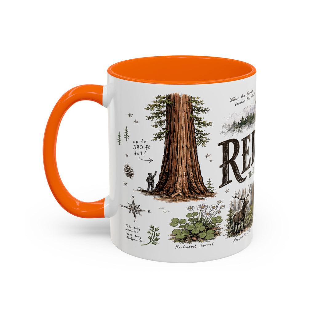 Redwood National Park Coffee Mug | California Coastal Forest Hiking Gift | Accent Color Ceramic 11oz 15oz