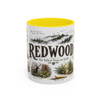 Redwood National Park Coffee Mug | California Coastal Forest Hiking Gift | Accent Color Ceramic 11oz 15oz