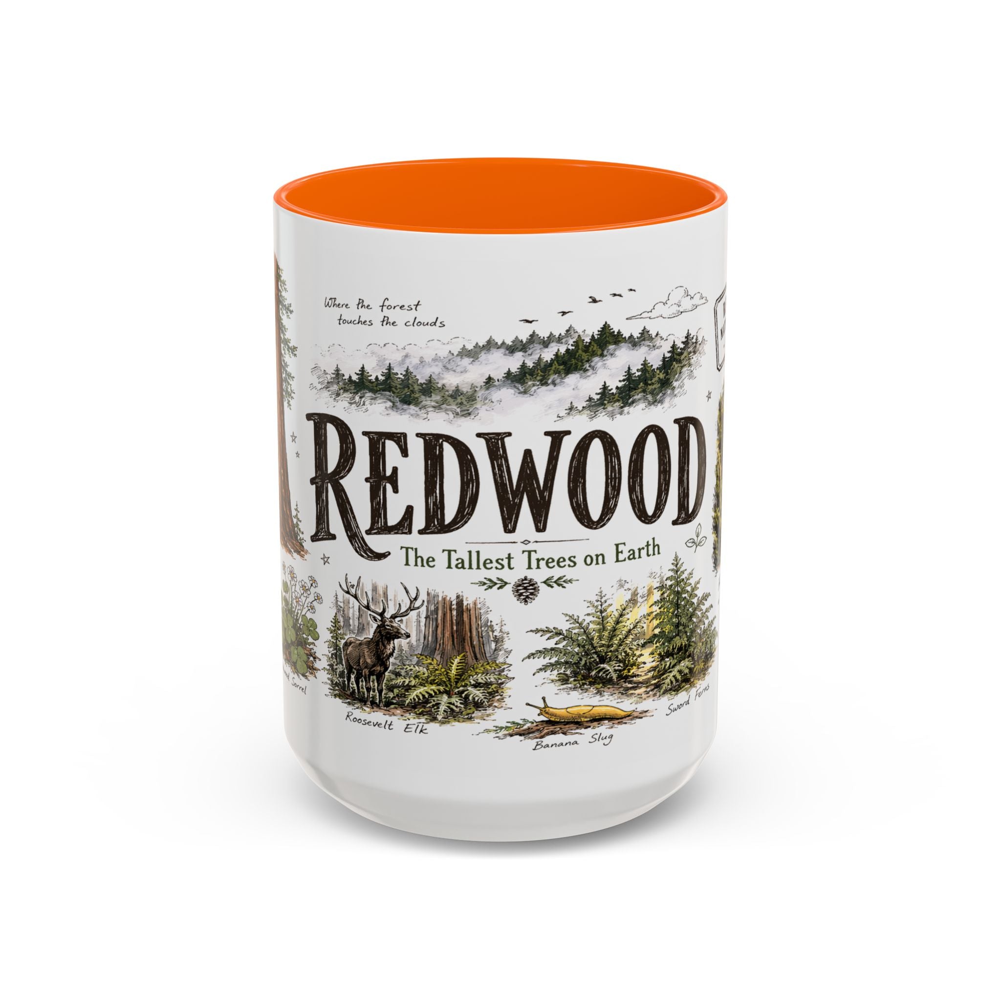 Redwood National Park Coffee Mug | California Coastal Forest Hiking Gift | Accent Color Ceramic 11oz 15oz