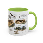 Mesa Verde National Park Coffee Mug | Colorado Ancient Cliff Dwellings Gift | Accent Color Ceramic 11oz 15oz