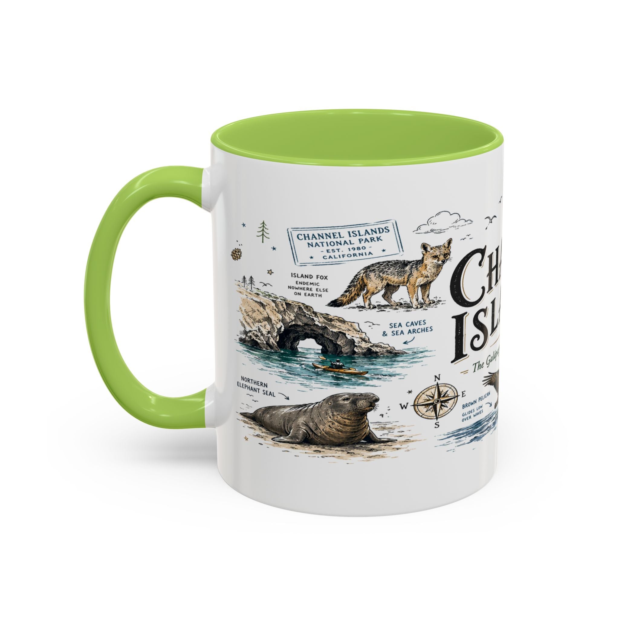 Channel Islands National Park Coffee Mug | California Island Wildlife Marine Gift | Accent Color Ceramic 11oz 15oz