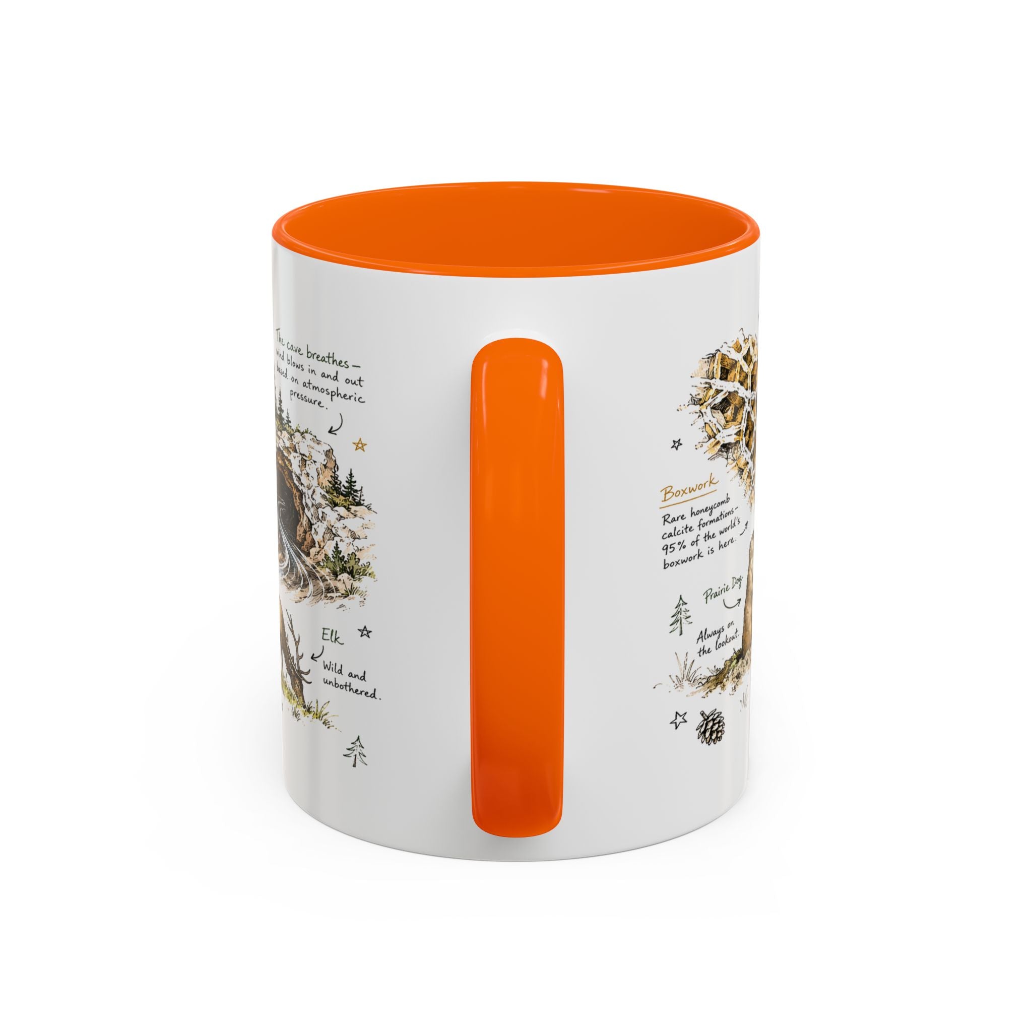 Wind Cave National Park Coffee Mug | South Dakota Cave Bison Prairie Gift | Accent Color Ceramic 11oz 15oz