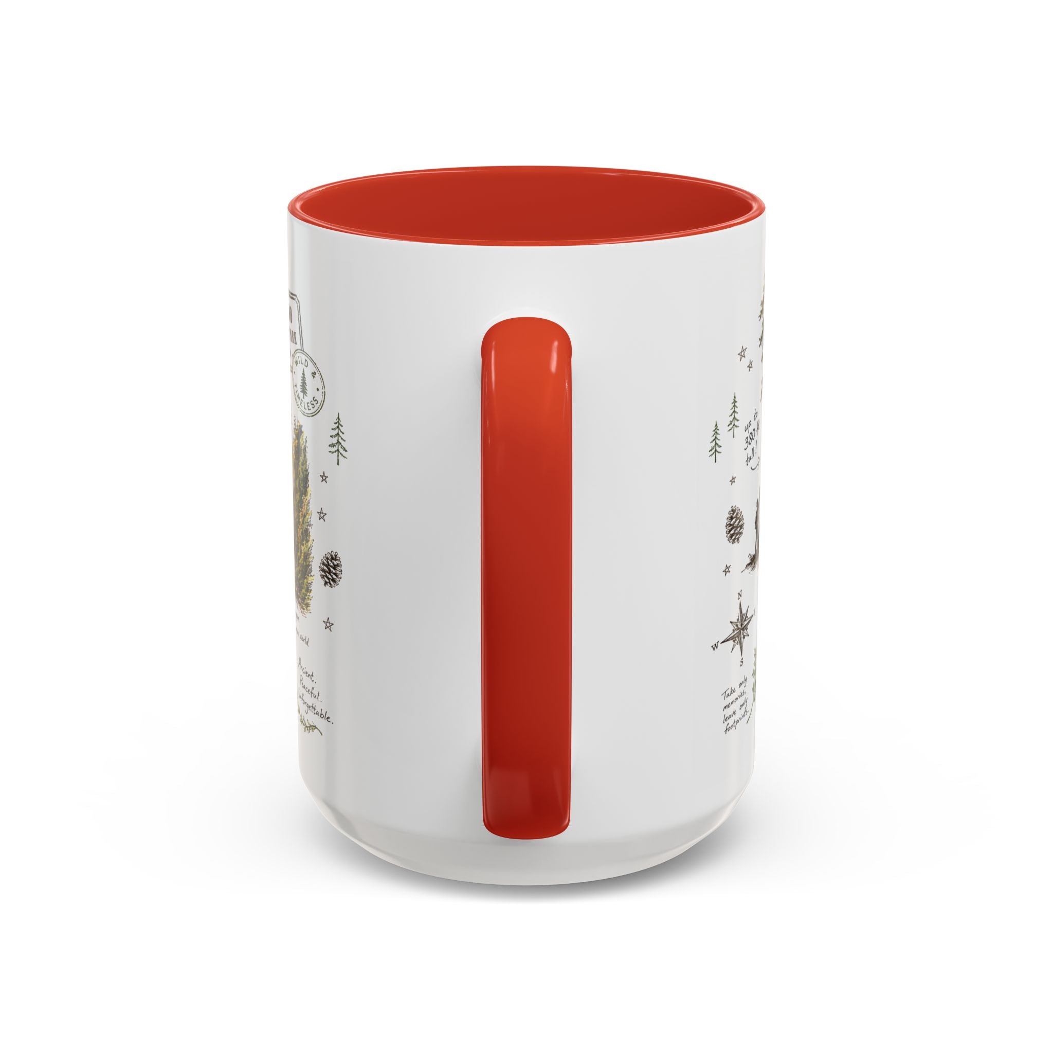 Redwood National Park Coffee Mug | California Coastal Forest Hiking Gift | Accent Color Ceramic 11oz 15oz