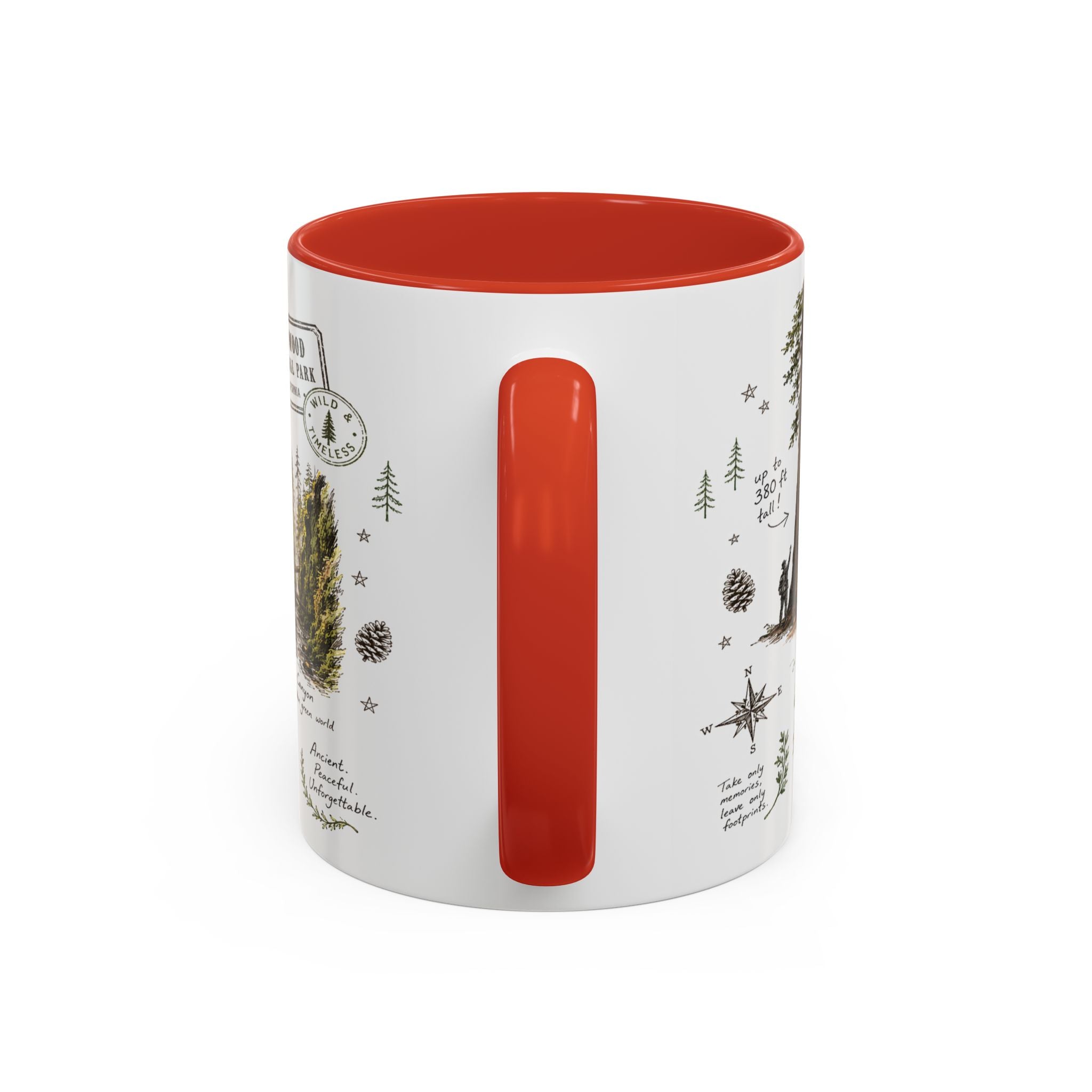 Redwood National Park Coffee Mug | California Coastal Forest Hiking Gift | Accent Color Ceramic 11oz 15oz