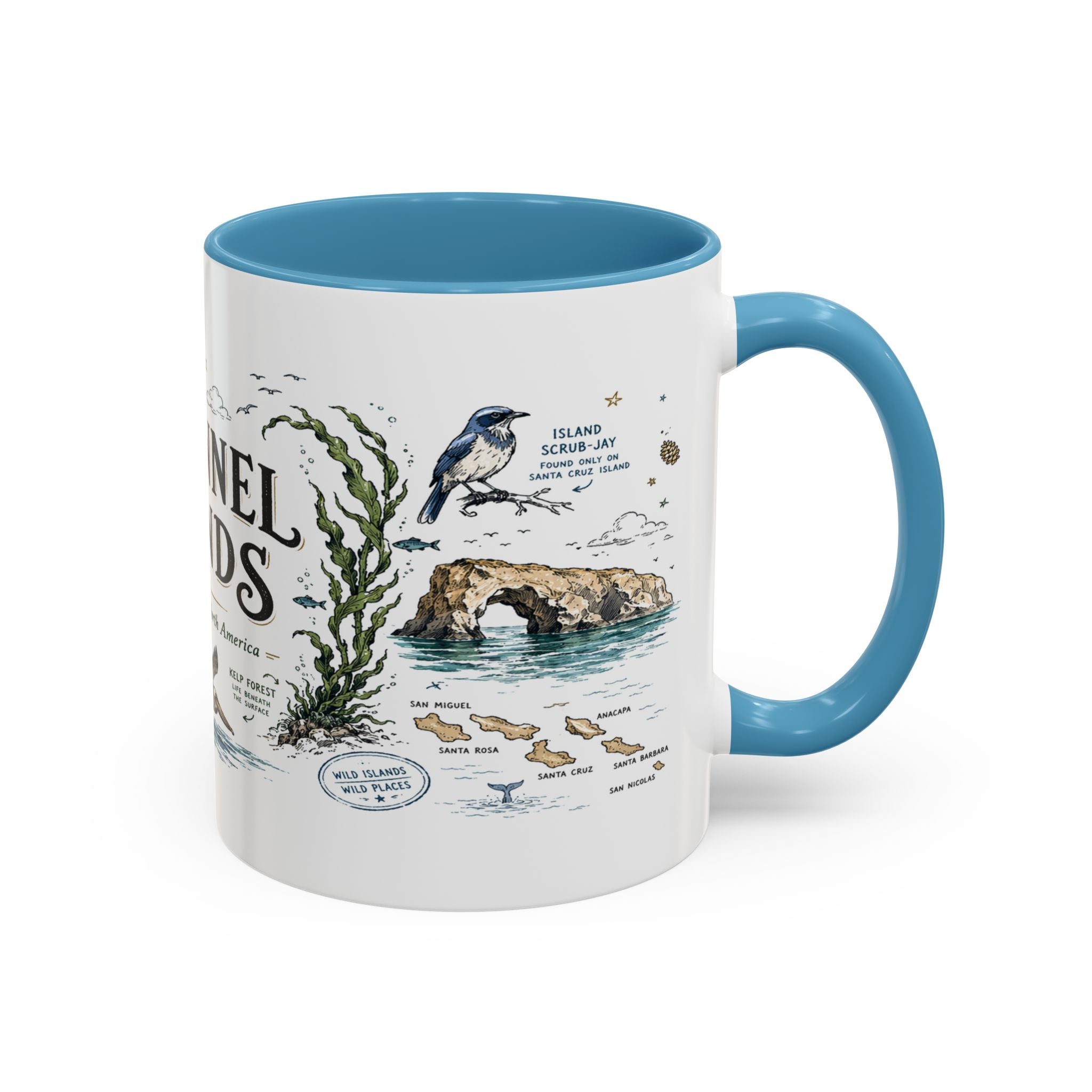 Channel Islands National Park Coffee Mug | California Island Wildlife Marine Gift | Accent Color Ceramic 11oz 15oz