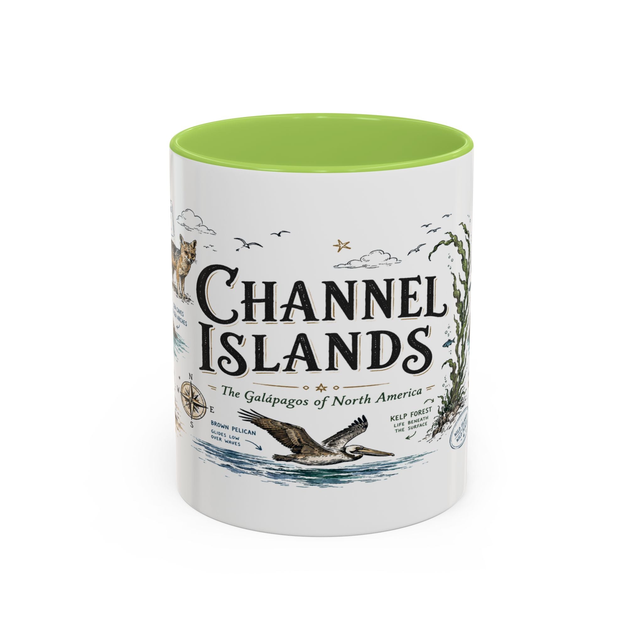 Channel Islands National Park Coffee Mug | California Island Wildlife Marine Gift | Accent Color Ceramic 11oz 15oz
