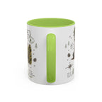 Redwood National Park Coffee Mug | California Coastal Forest Hiking Gift | Accent Color Ceramic 11oz 15oz