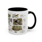 Mammoth Cave National Park Coffee Mug | Kentucky Cave Exploration Hiking Gift | Accent Color Ceramic 11oz 15oz