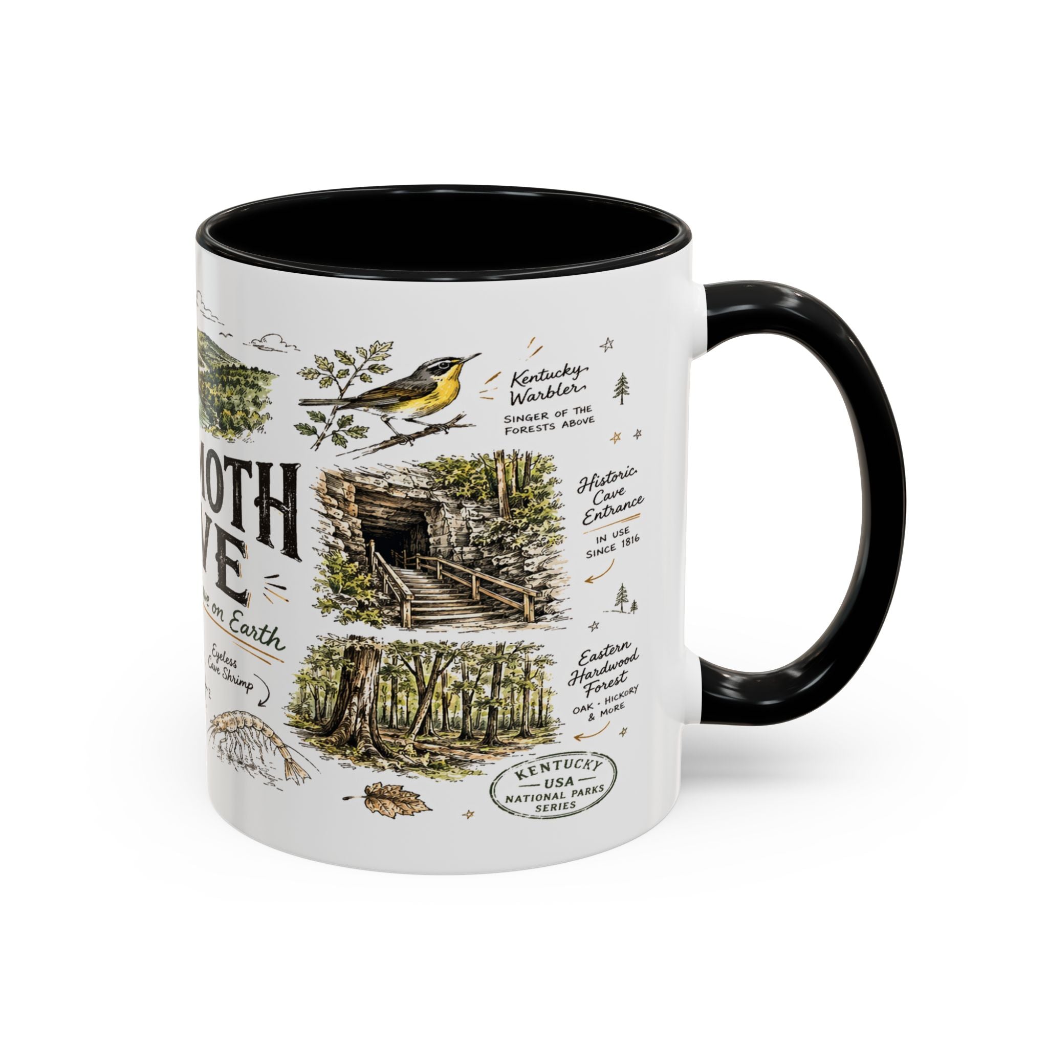 Mammoth Cave National Park Coffee Mug | Kentucky Cave Exploration Hiking Gift | Accent Color Ceramic 11oz 15oz
