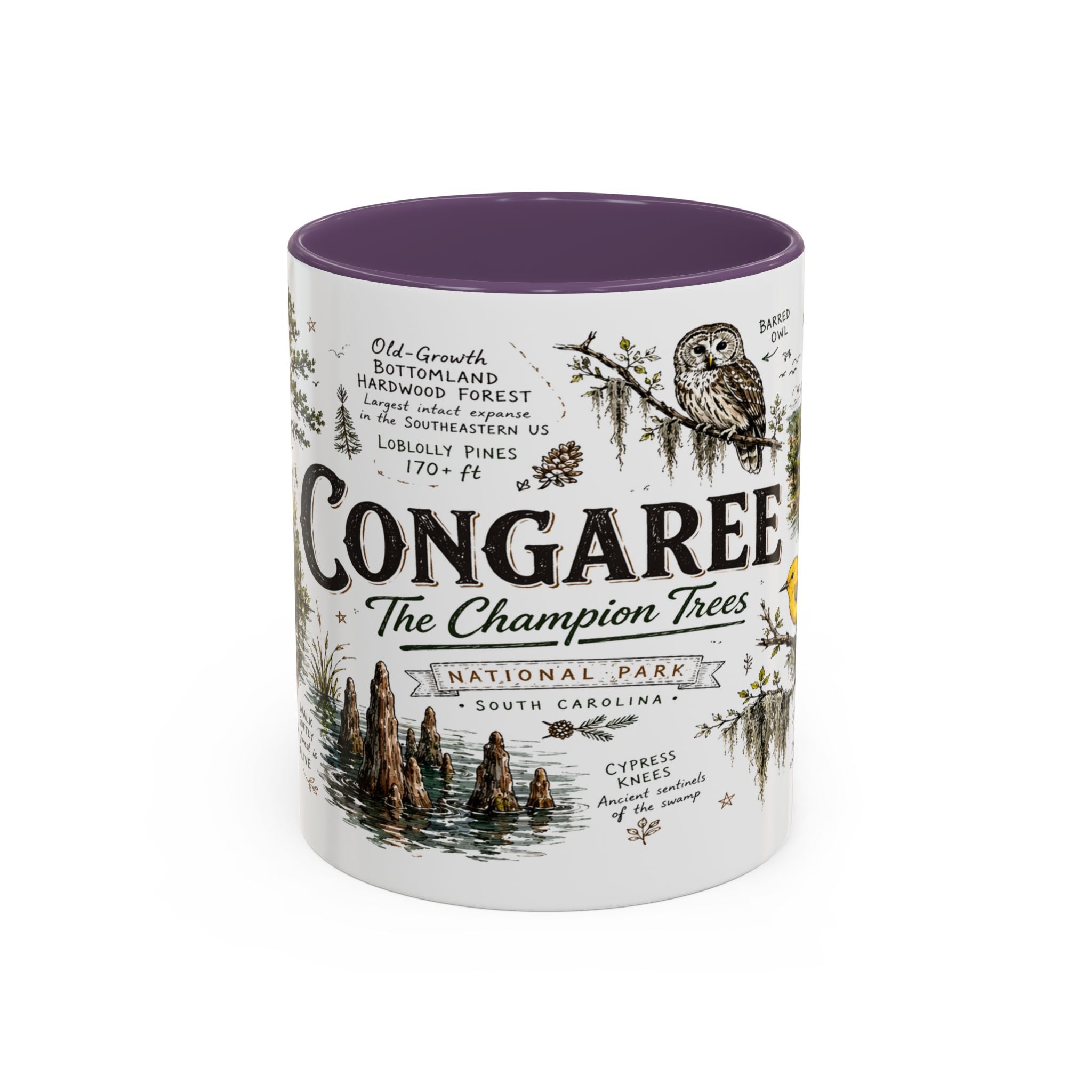 Congaree National Park Coffee Mug | South Carolina Forest Floodplain Gift | Accent Color Ceramic 11oz 15oz