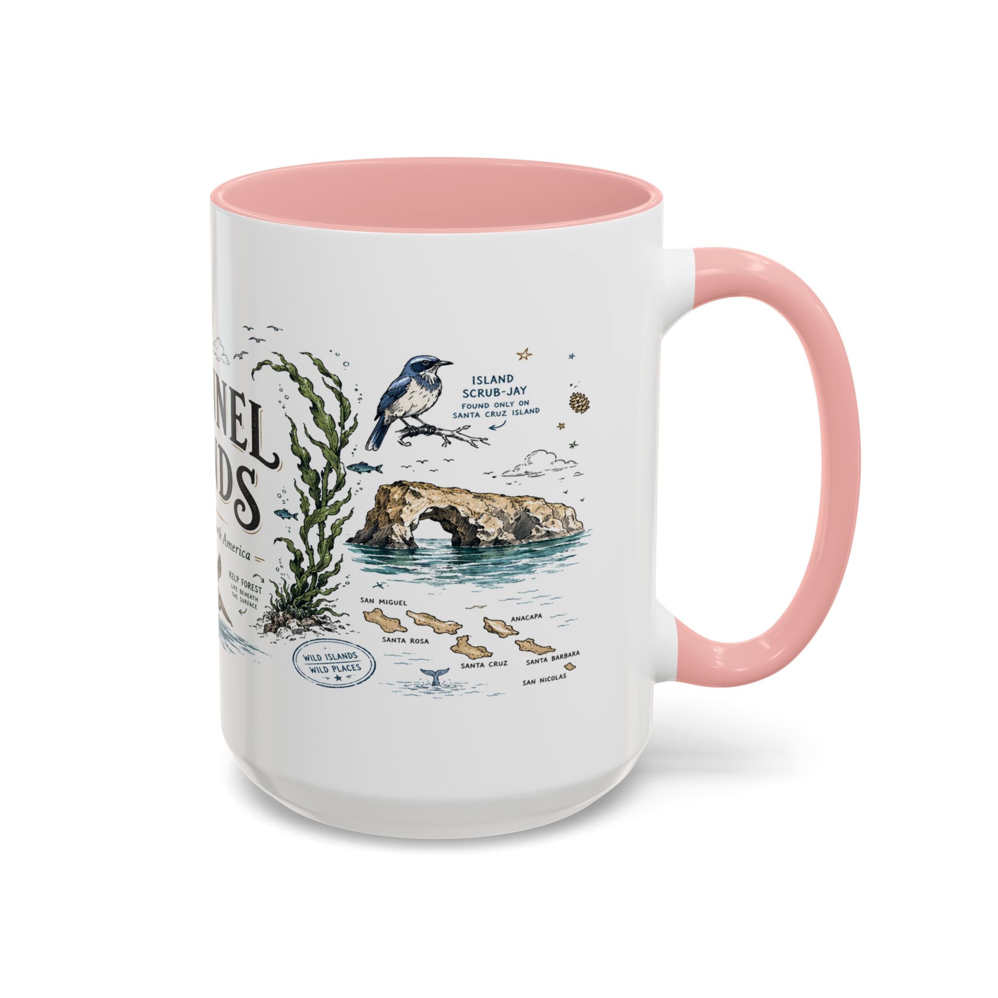 Channel Islands National Park Coffee Mug | California Island Wildlife Marine Gift | Accent Color Ceramic 11oz 15oz
