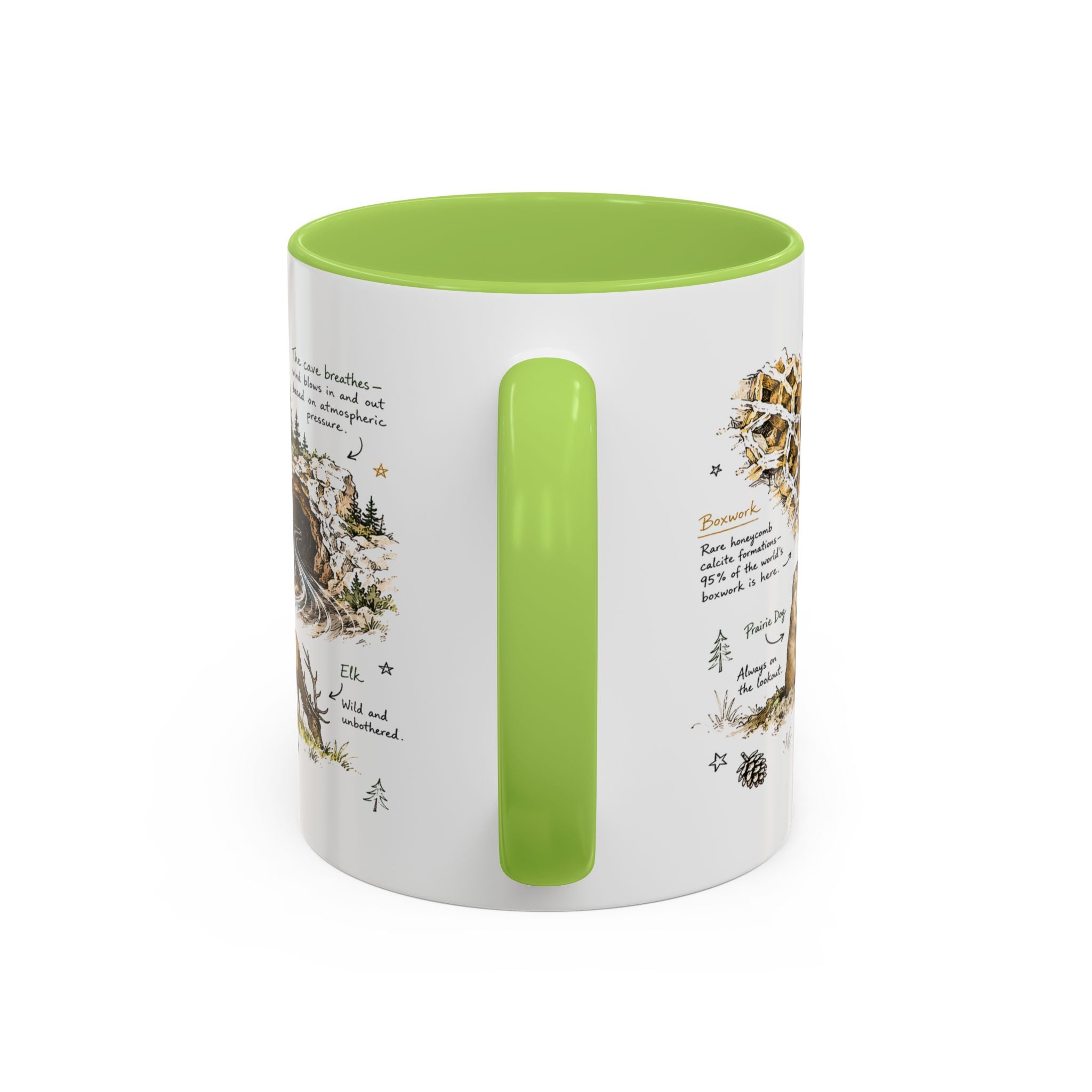 Wind Cave National Park Coffee Mug | South Dakota Cave Bison Prairie Gift | Accent Color Ceramic 11oz 15oz