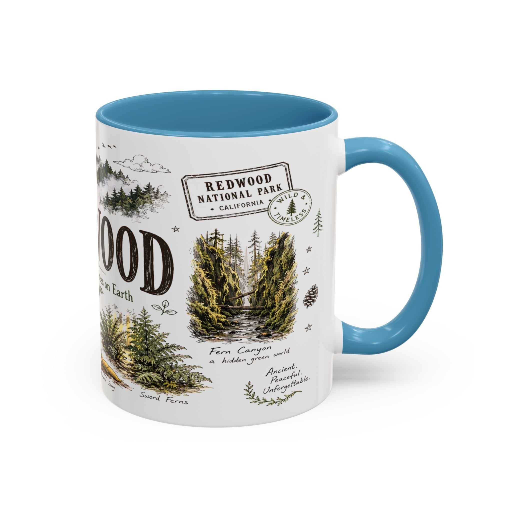 Redwood National Park Coffee Mug | California Coastal Forest Hiking Gift | Accent Color Ceramic 11oz 15oz