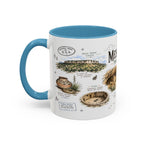 Mesa Verde National Park Coffee Mug | Colorado Ancient Cliff Dwellings Gift | Accent Color Ceramic 11oz 15oz