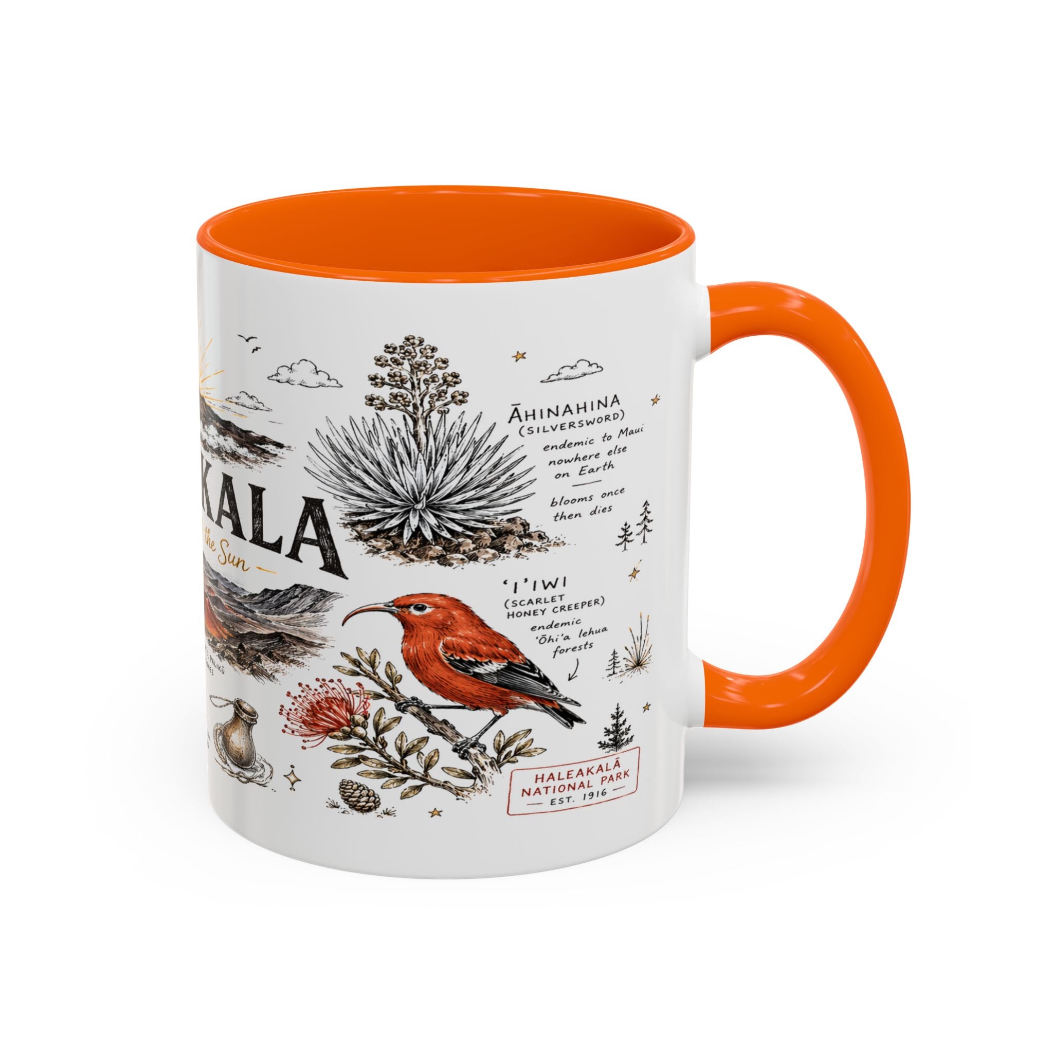 Haleakala National Park Coffee Mug | Hawaii Maui Sunrise Crater Gift | Accent Color Ceramic 11oz 15oz