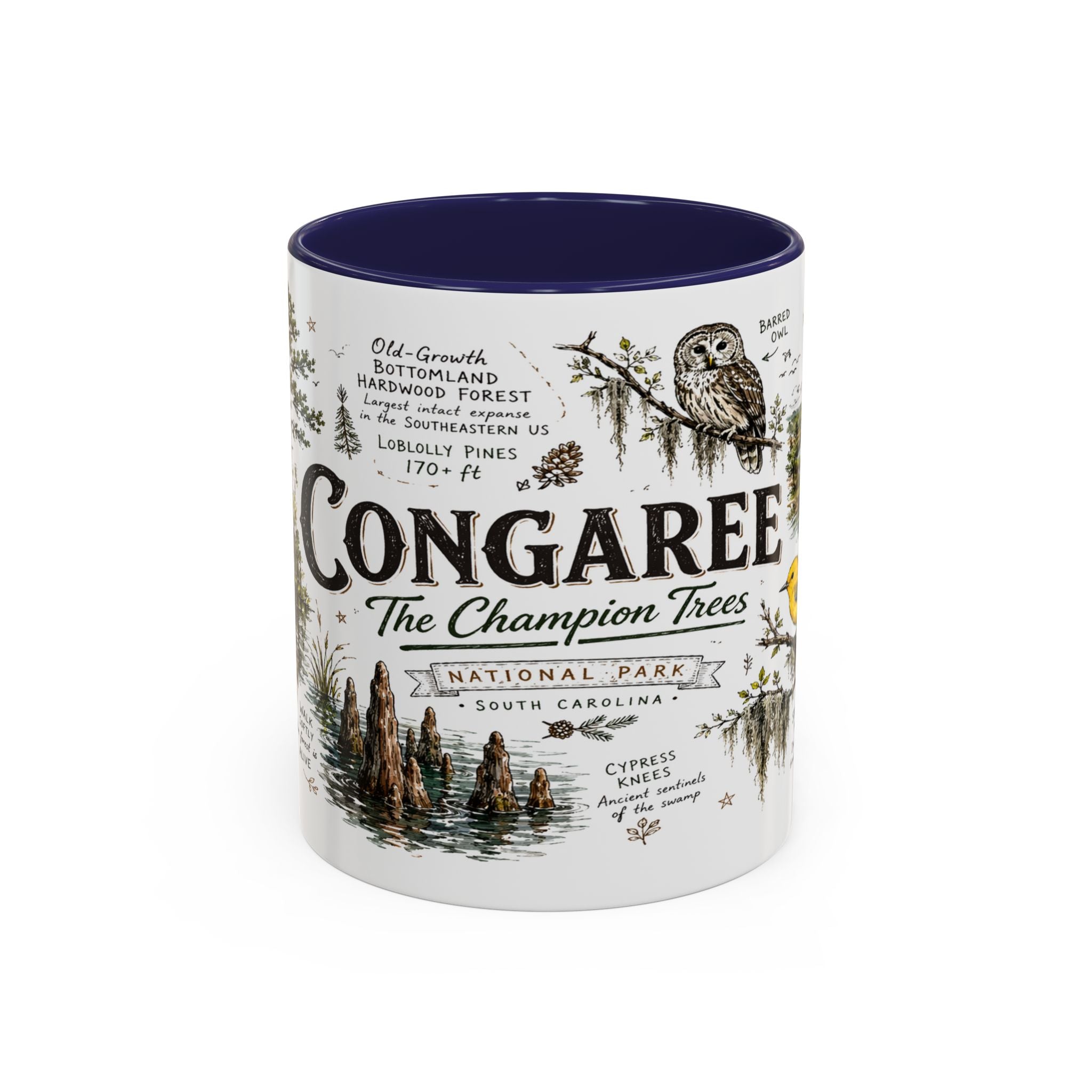 Congaree National Park Coffee Mug | South Carolina Forest Floodplain Gift | Accent Color Ceramic 11oz 15oz