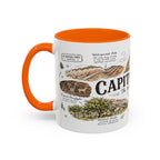 Capitol Reef National Park Coffee Mug | Utah Sandstone Canyon Hiking Gift | Accent Color Ceramic 11oz 15oz