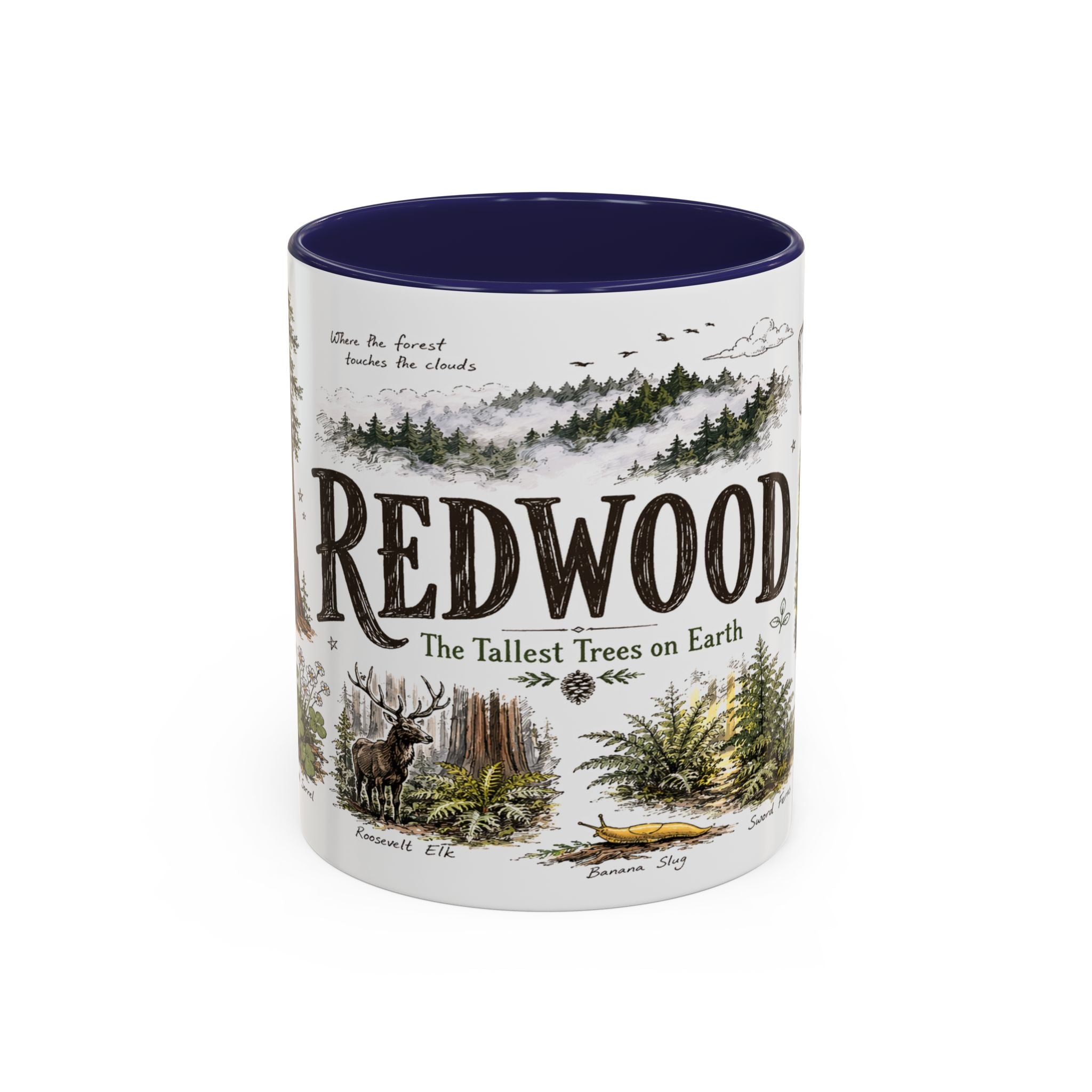 Redwood National Park Coffee Mug | California Coastal Forest Hiking Gift | Accent Color Ceramic 11oz 15oz
