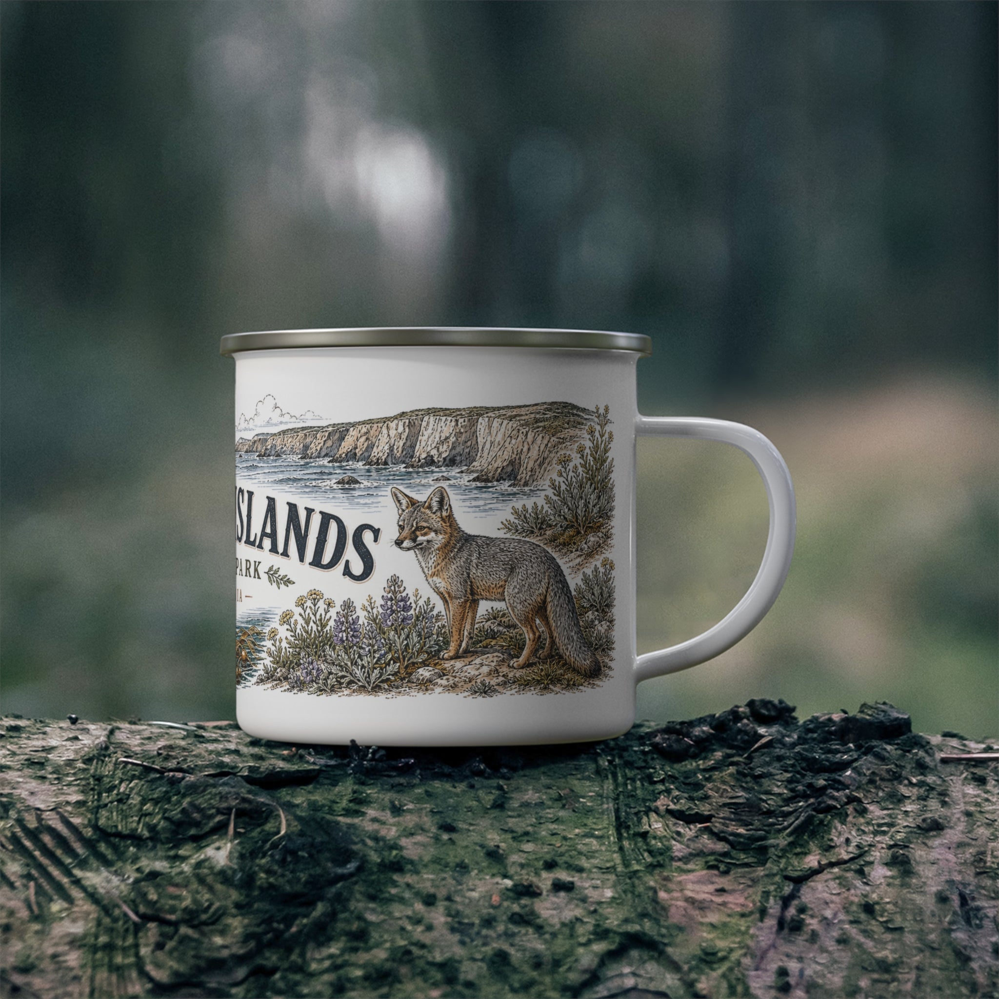 Channel Islands National Park Vintage Enamel Camping Mug | 12oz National Park Hiking Gift